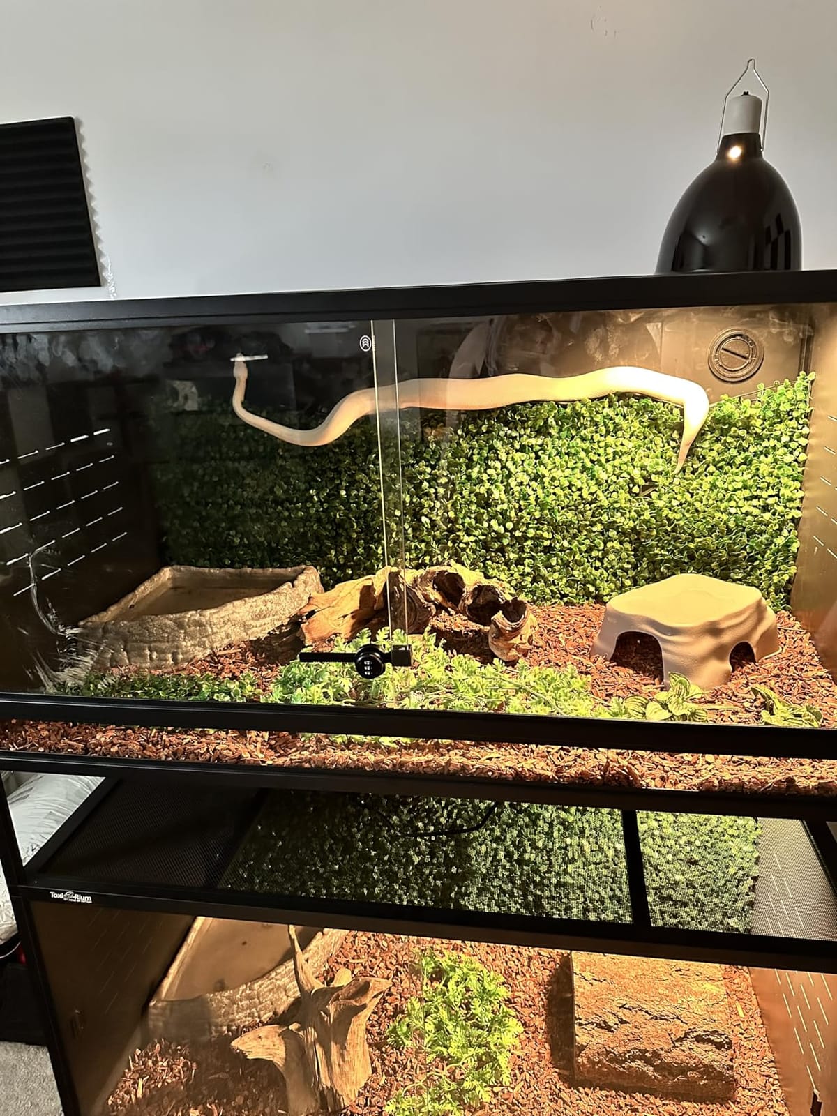 PVC Reptile Enclosure Space Efficient 44''x20''x20'' Stackable ToxiRium Large Reptile Terrarium 76 Gallons for Bearded Dragon Lizard Snake, Breeding Vivarium with Sliding Doors Lock-2pcs with spacers customer photo 2