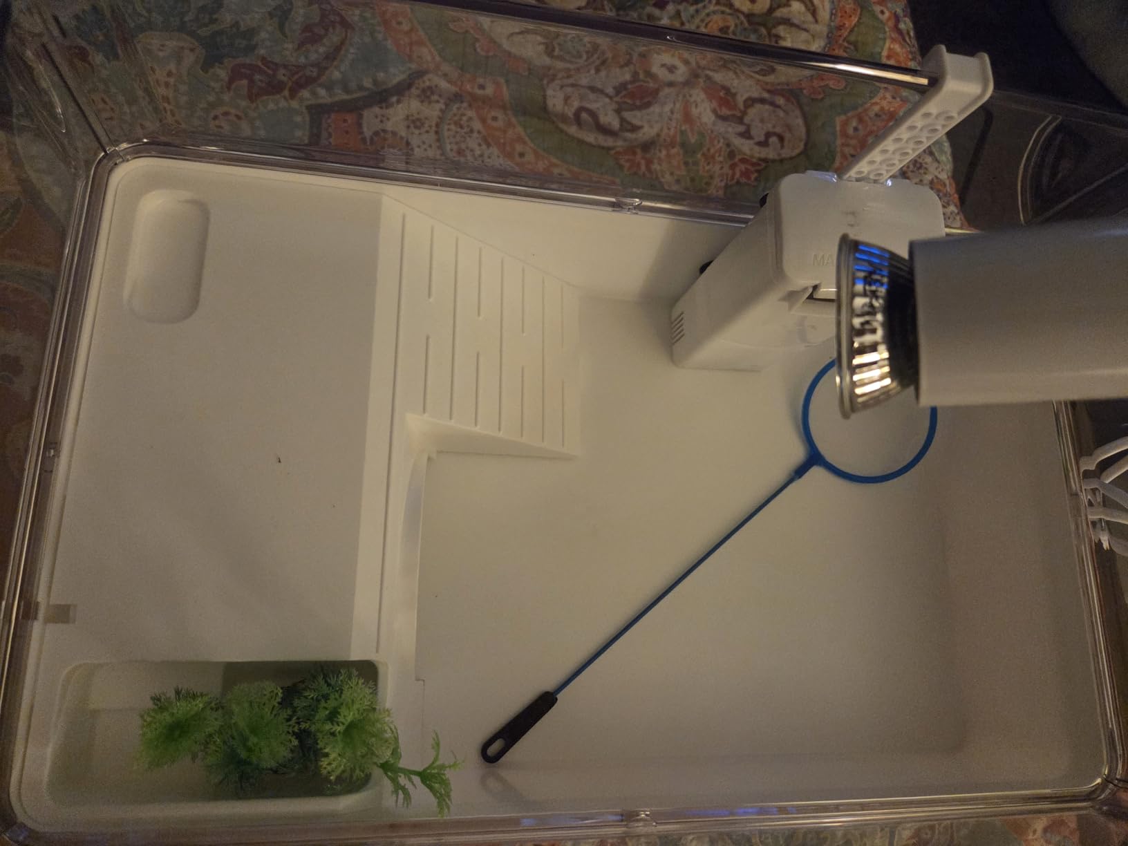 AZV Turtle Tank Starter Habitat Kit,Complete Aquatic Terrarium Enclosure customer photo 1
