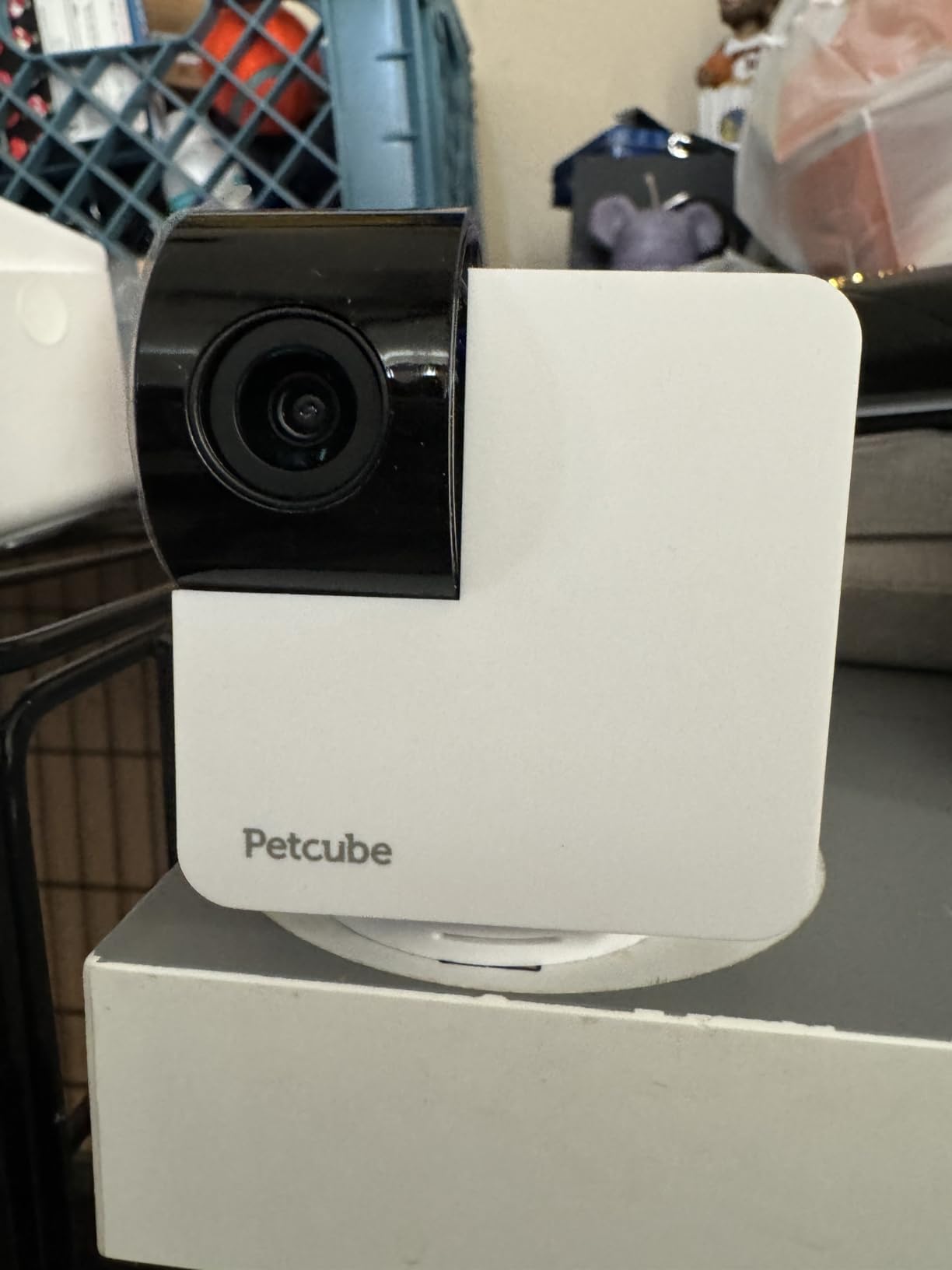 Petcube Cam 360 - Wi-Fi Pan-Tilt Pet Security Camera with App | No subscription required, 1080p HD video, 360 rotation, night vision, AI alerts for dog, cat & home monitoring customer photo 1