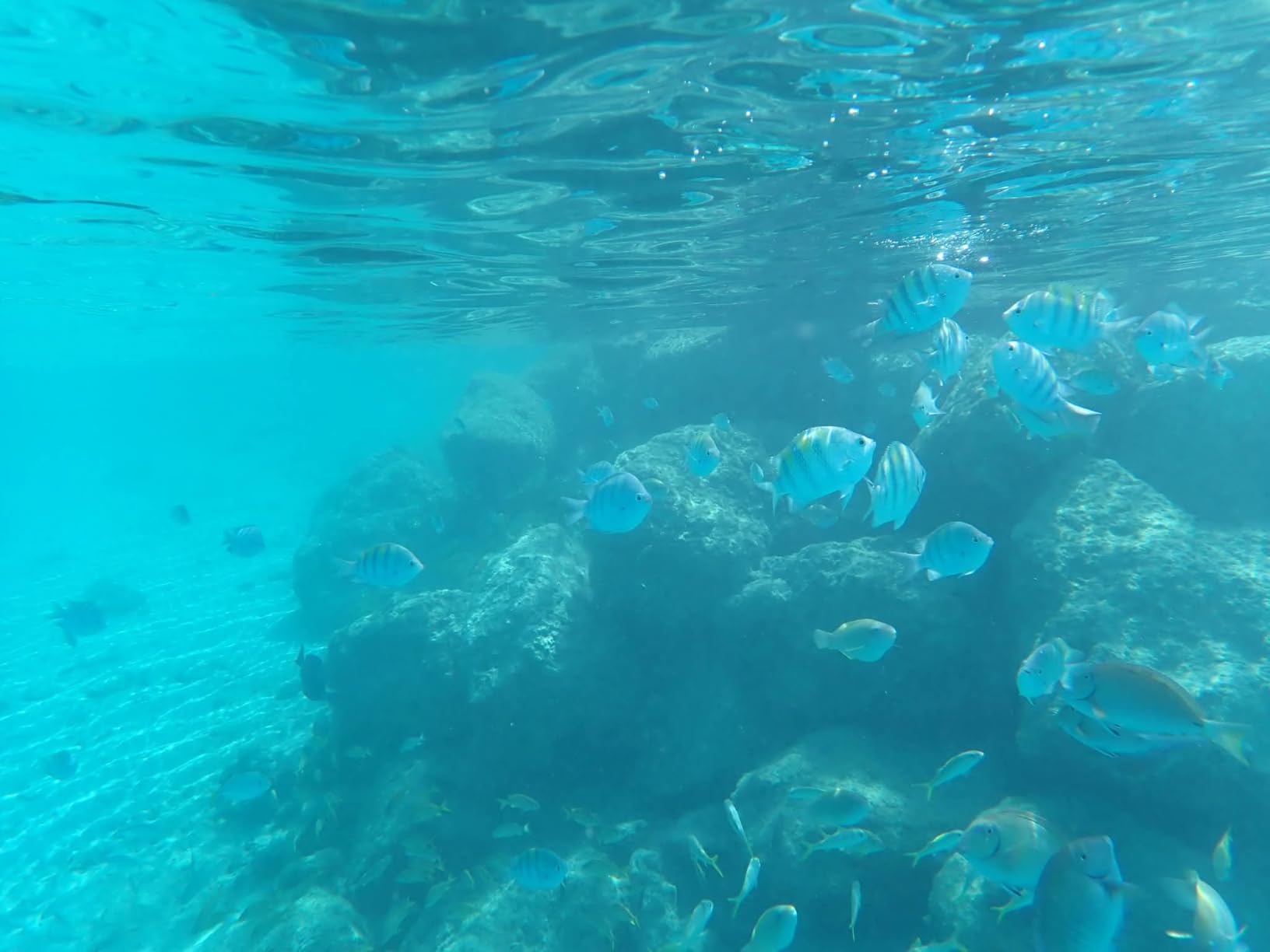 OM System OLYMPUS Tough TG-7 Red Underwater Camera, Waterproof, Freeze Proof, High Resolution Bright, 4K Video 44x Macro Shooting (Successor Olympus TG-6) customer photo 2