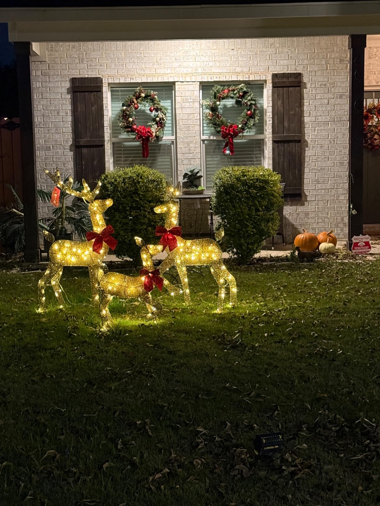 Best Choice Products 4ft 3-Piece 2D Lighted Christmas Deer Family Set, Large Outdoor Yard Reindeer Holiday Decoration with 175 LED Lights, Stakes, Zip Ties - Gold customer photo 2