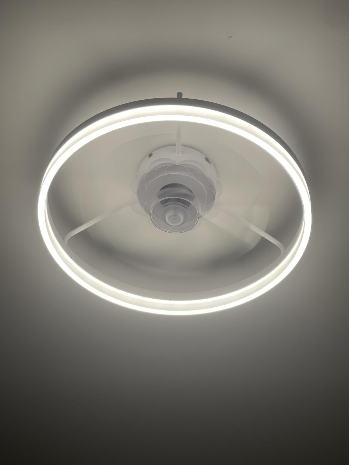 Fszdorj 20'' Low Profile Ceiling Fan with Light and Remote, Fandelier Black customer photo 2