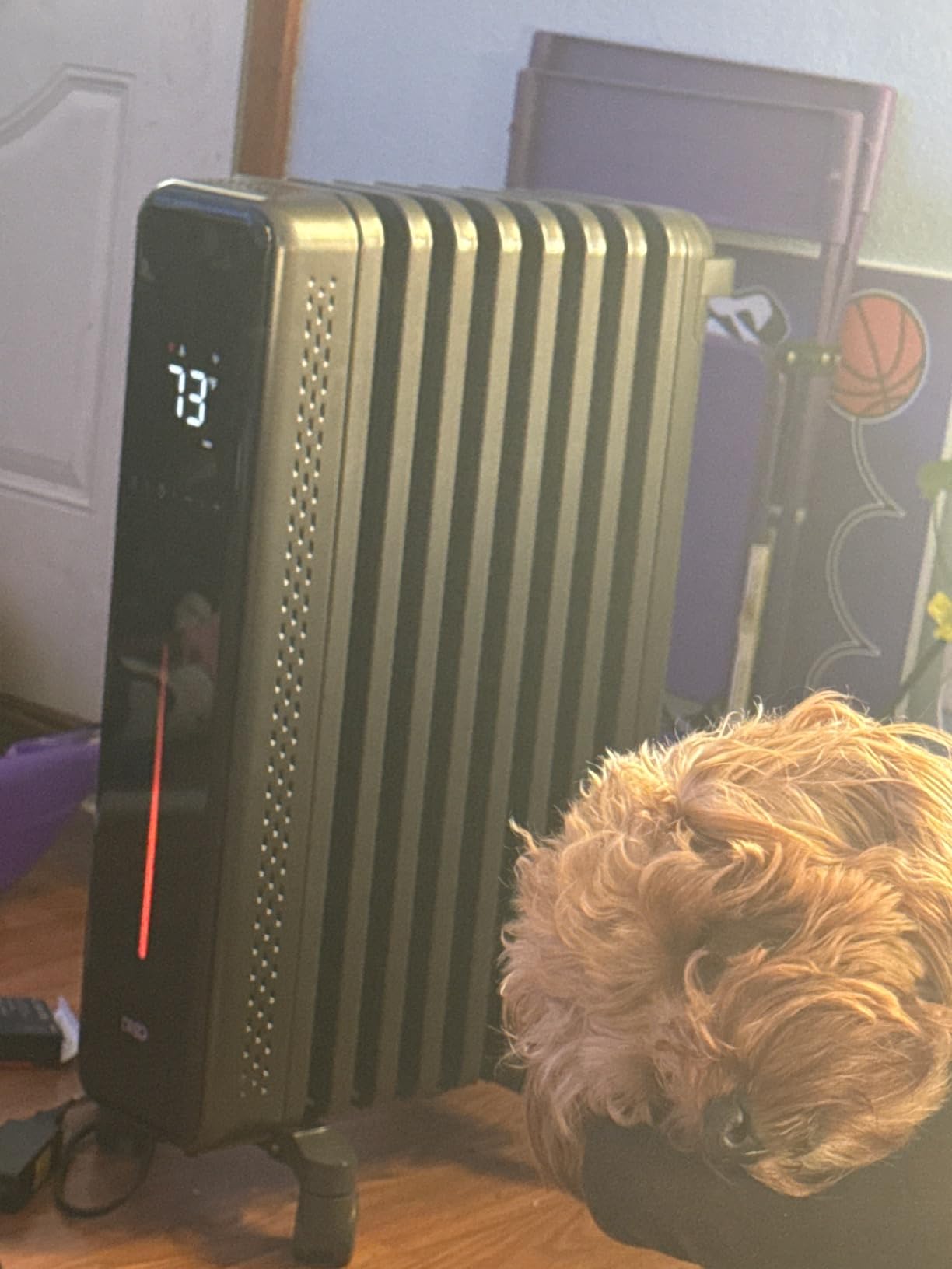 DREO Radiator Heater, 1500W Oil Filled Radiator Heater for Indoor Use customer photo 2