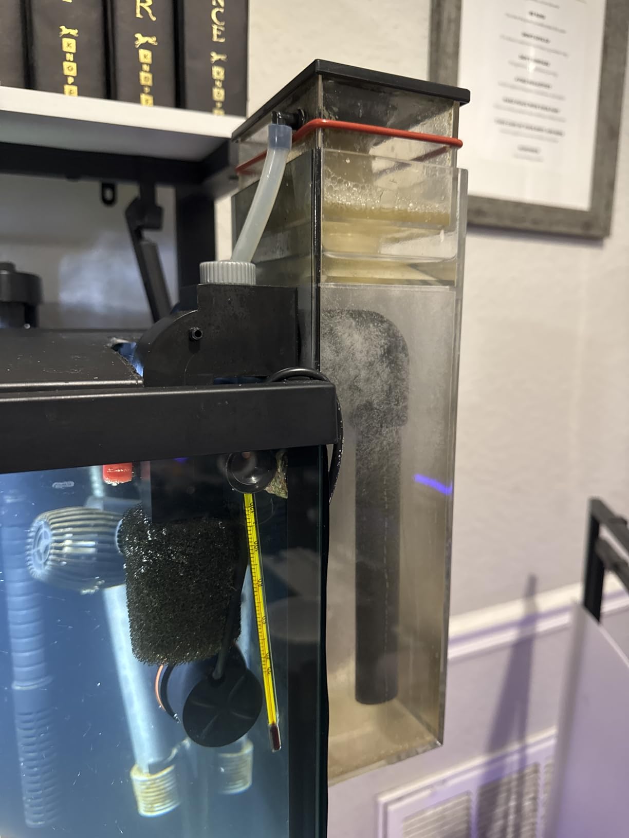 Coralife Hang on DC-Controlled Mini Protein Skimmer Saltwater Aquariums customer photo 2