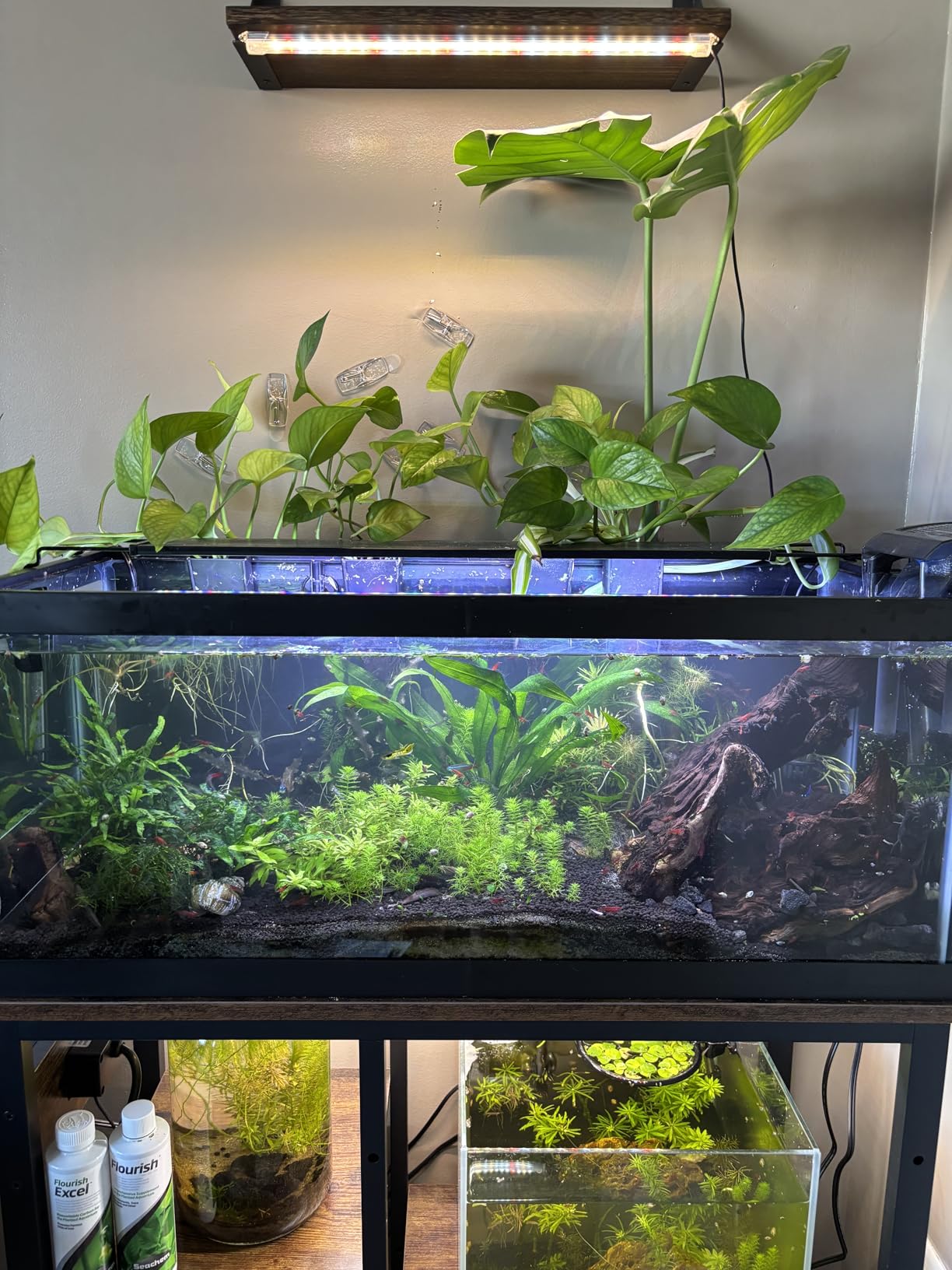 Bestier 20-29-37 Gallon Fish Tank Stand with Power Outlet, Rustic Brown customer photo 1