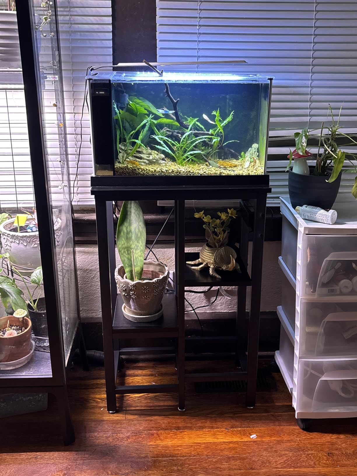 Bestier 20-29-37 Gallon Fish Tank Stand with Power Outlet, Rustic Brown customer photo 2