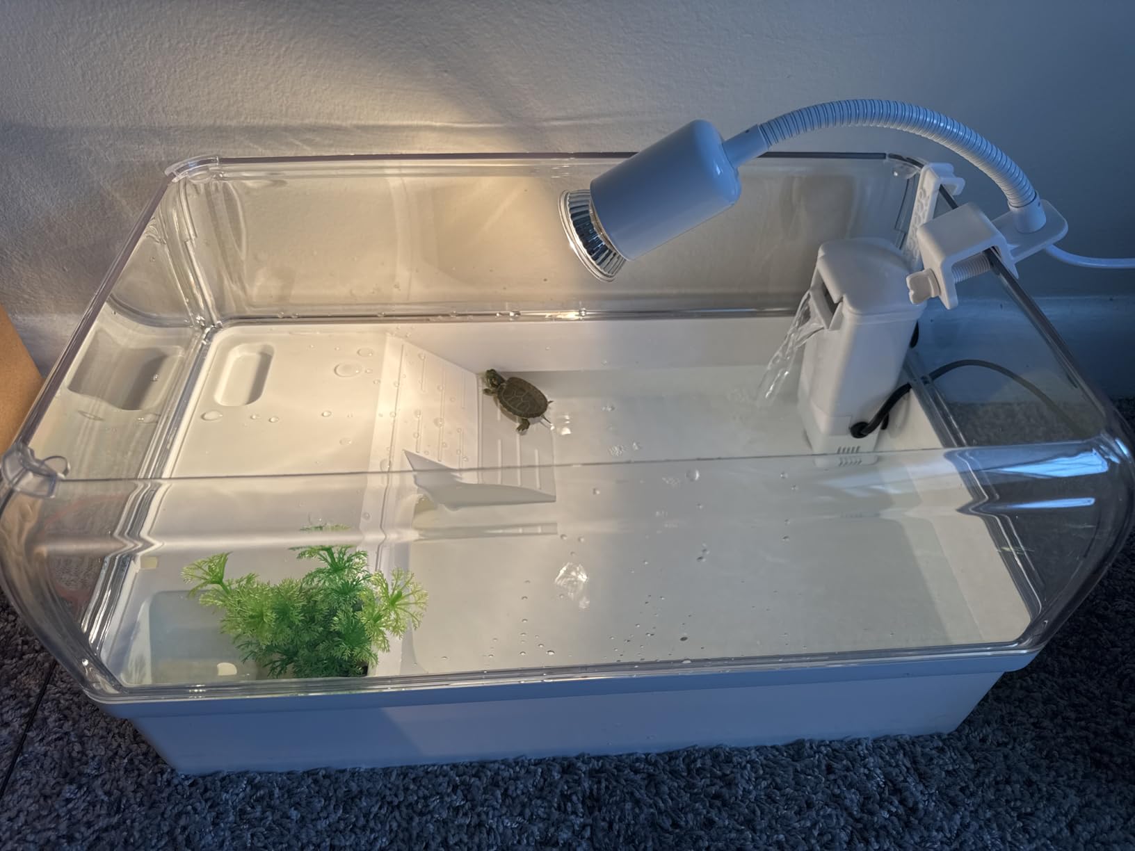 Turtle Tank Starter Kit for Baby Turtles,6.57 Gallon Small Green customer photo 1