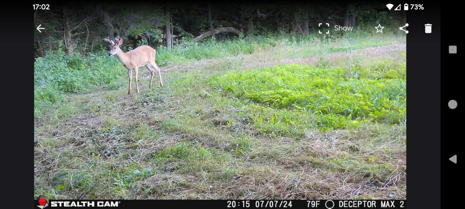 Deceptor MAX 40MP 1440P QHD No-Glo LED Cellular Trail Camera | 40MP Photos, 1440p QHD Video with Audio, 940nm No-Glo Ir, ~0.3 Second Trigger customer photo 1