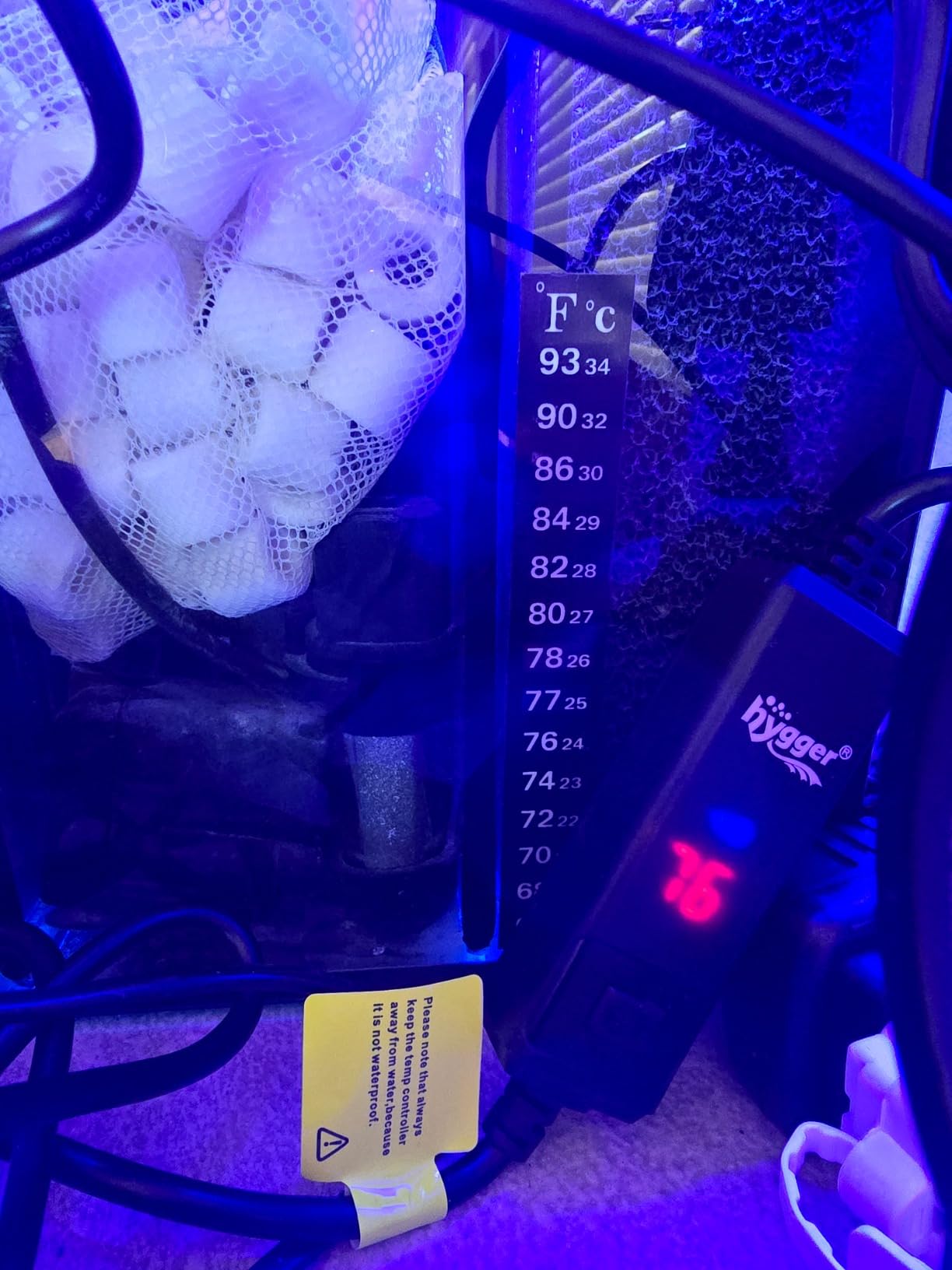 Aquatop 13.5 Gallon Bow Front Glass Aquarium Kit with Filter and LED Lighting - All in One Desktop Fish Tank, Ideal for Freshwater and Saltwater, BFK-13 customer photo 2