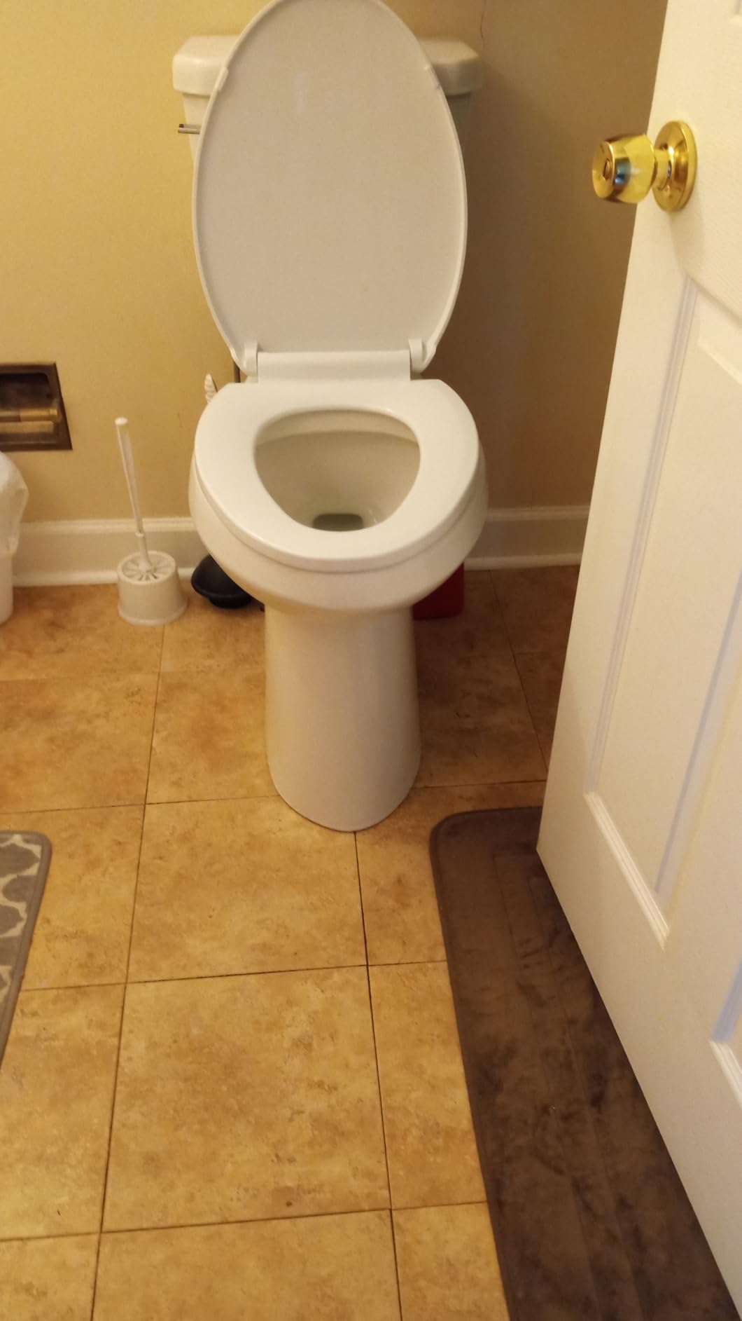 Simple Project 21 Inch High Tall Toilet for Seniors & Tall Person customer photo 1