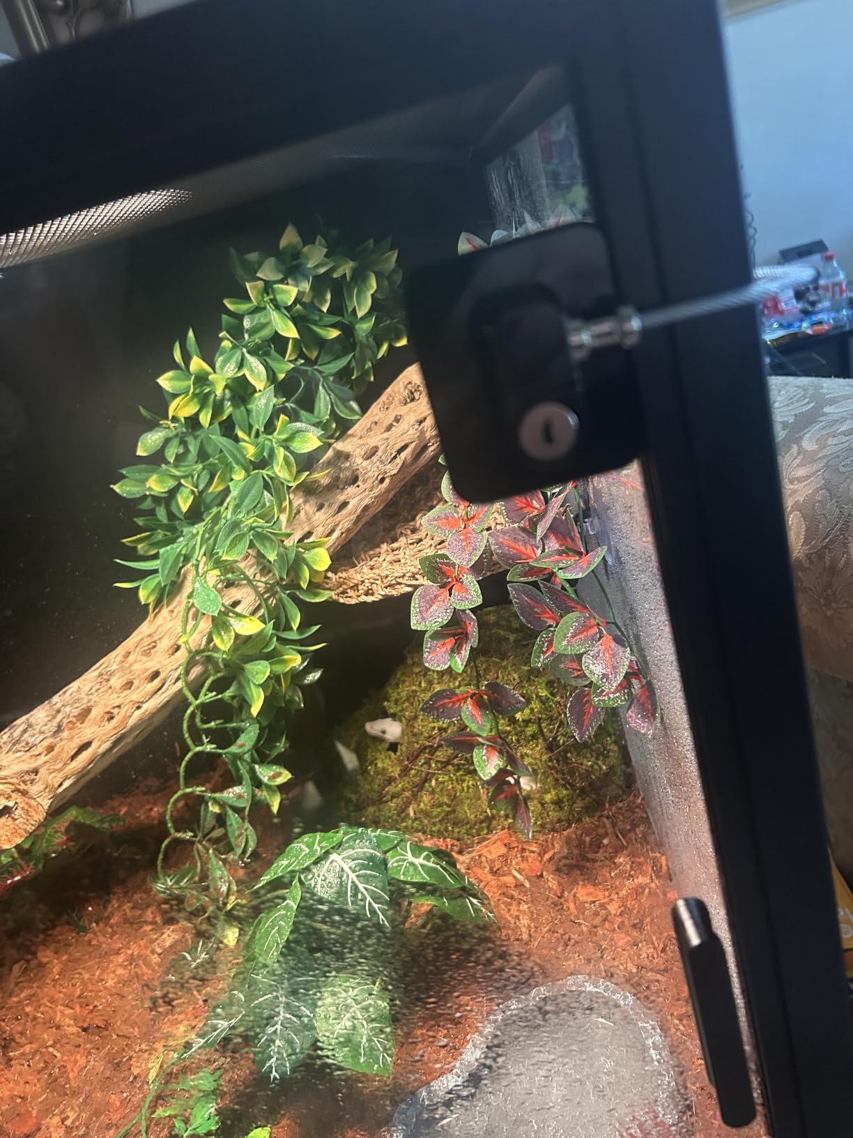 Phailozoo 120 Gallon Reptile Tank, Stackable 4x2x2 Reptile Enclosure customer photo 1