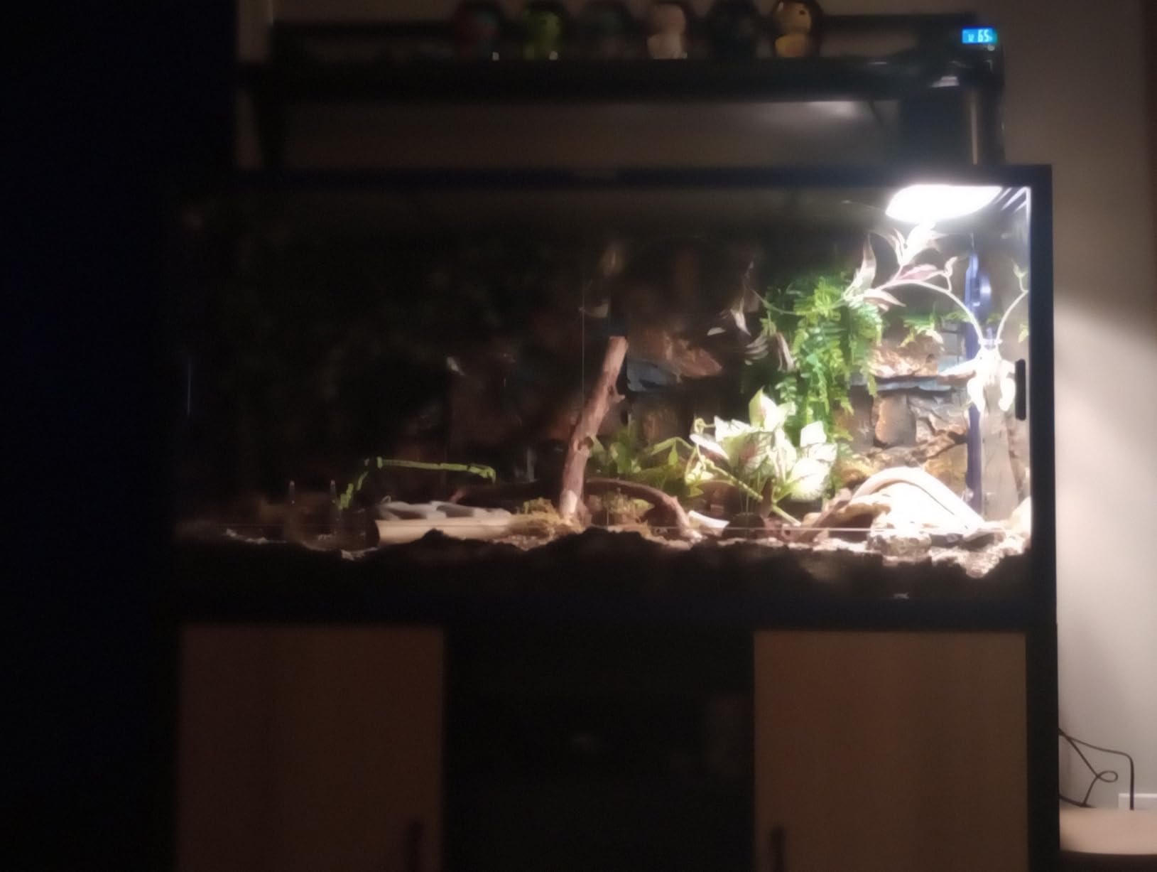 Phailozoo 120 Gallon Reptile Tank for Bearded Dragon, Snake, Adult Reptile | Optimal Ventilation & Light Penetration by Rust Proof Mesh Top, Easy Assembly within 6 Steps with Clear Instruction customer photo 1