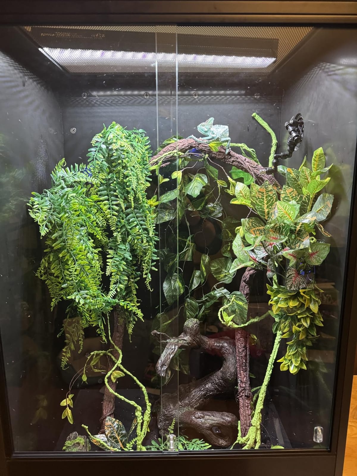 REPTI ZOO 30 Gallon PVC Tall Reptile Tank, 18x18x24 Reptile Terrarium for Frog Lizard Gecko Chameleon Snake, Tropical Rainforest Habitat Enclosure with Sliding Door & Top Screen Ventilation customer photo 2