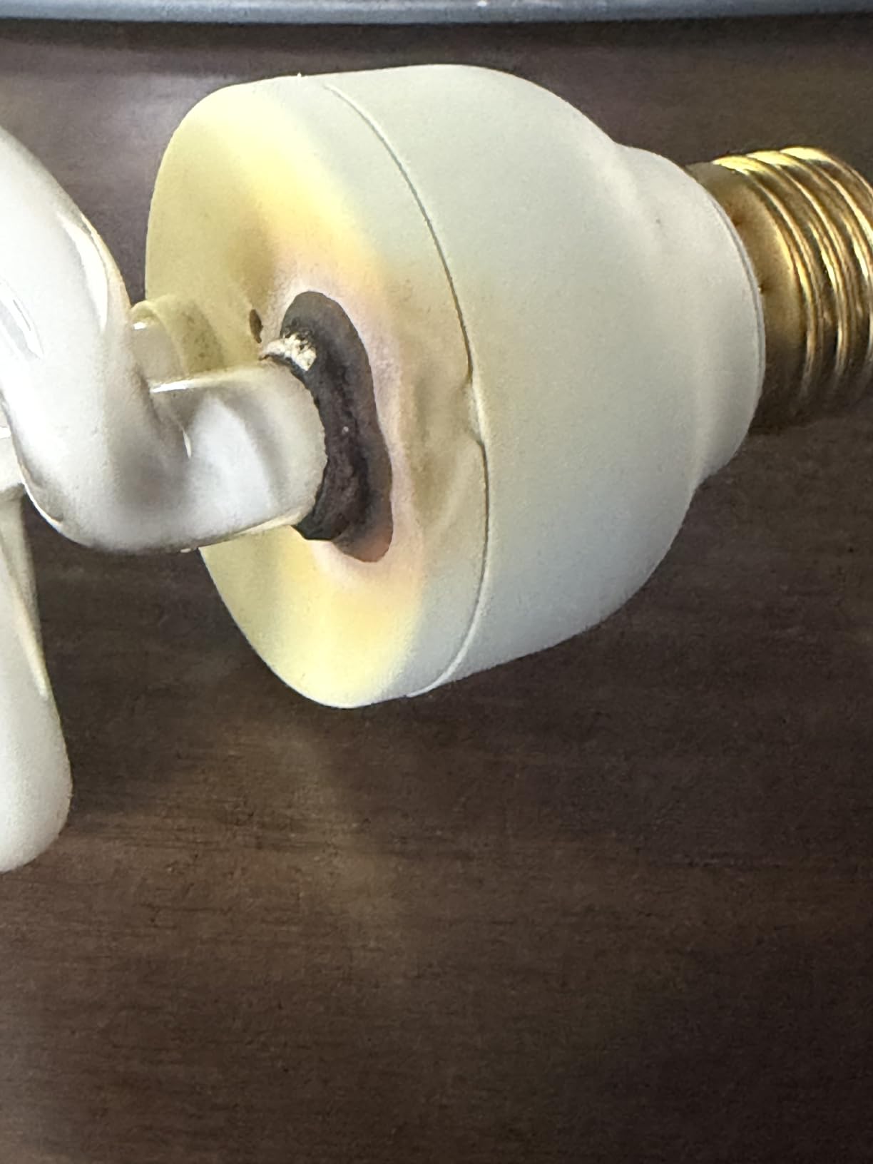 UVB Bulb for Reptiles, 10.0 26W UVB Light for Reptiles, Hygger zoo UVA UVB Reptile Light Bulb Reptile UVB Bulb UVB Light for Bearded Dragon Turtle Lizard Reptile Lamp Terrarium Lamp for Desert Reptile customer photo 1