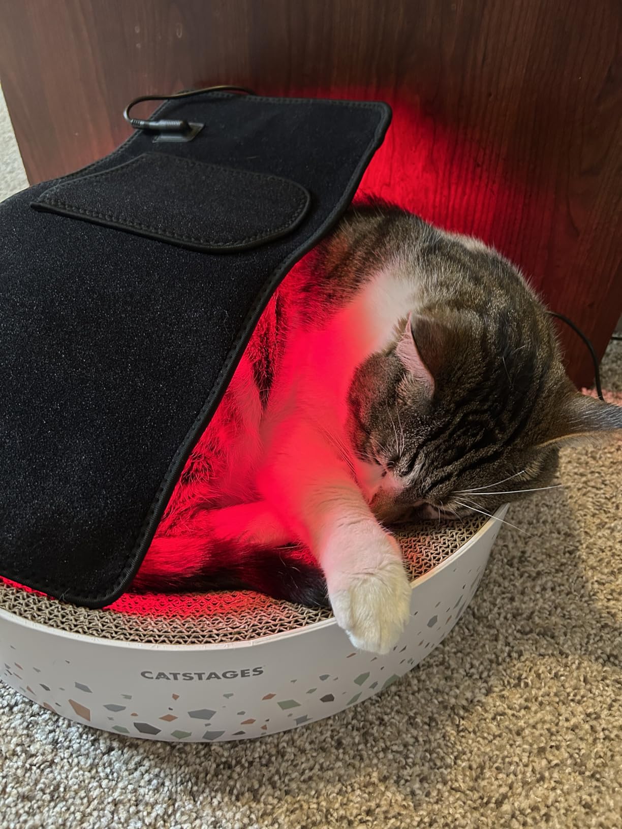 Red Light Therapy for Body Large 19.8
