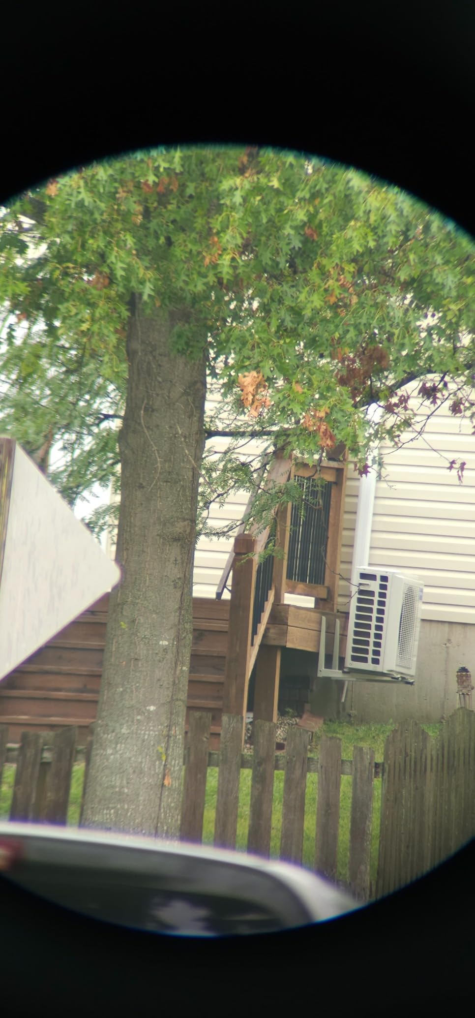 Vortex Crossfire HD Spotting Scopes (12-36x50 Angled) customer photo 1