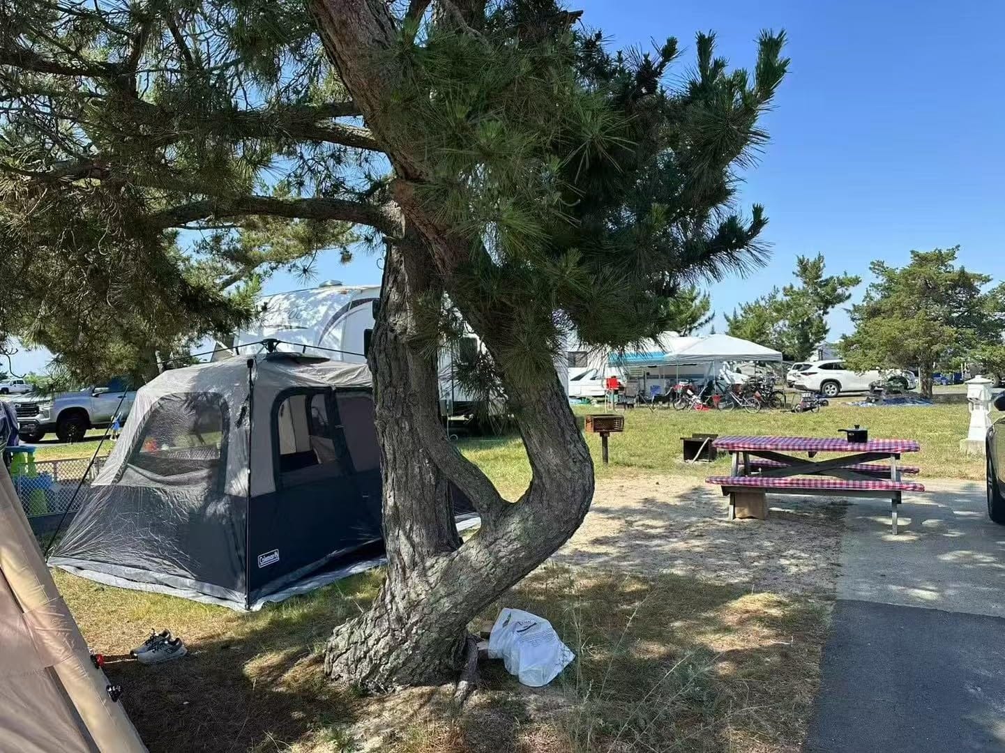 Coleman 4/6/8/10 Person Instant Camping Tent with 1-Minute Setup | Easy Setup & Storage, Spacious Interior, Pre-Attached Poles, 3-Season Family Tent, Gear Pockets, Carry Bag customer photo 2