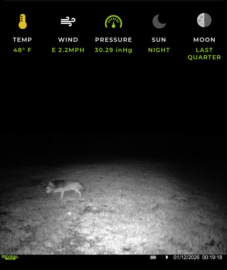 TACTACAM Reveal X 3.0 Cellular Trail Camera, Night Vision, Waterproof customer photo 1