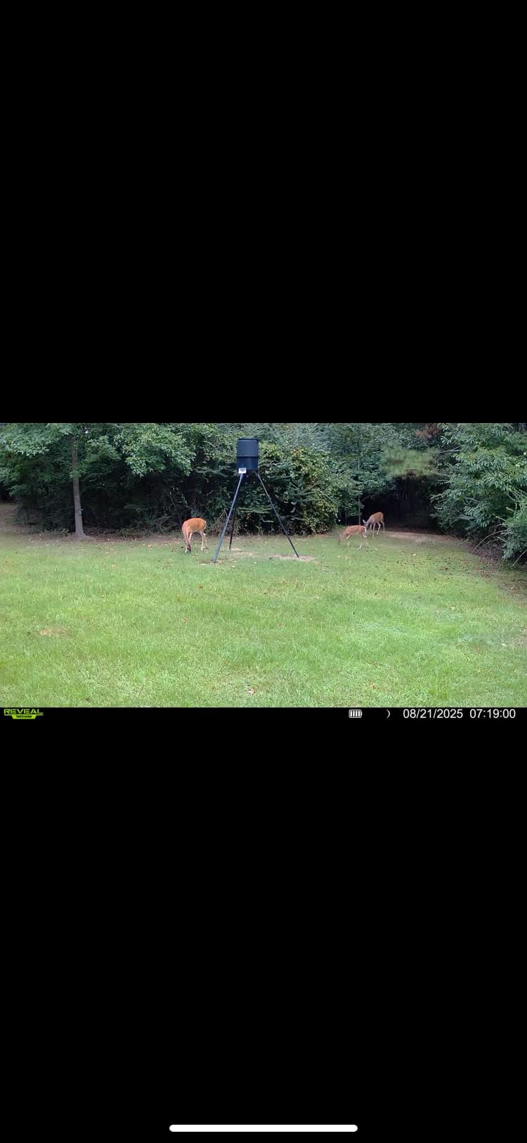 TACTACAM Reveal X 3.0 Cellular Trail Camera, Night Vision, Waterproof customer photo 2
