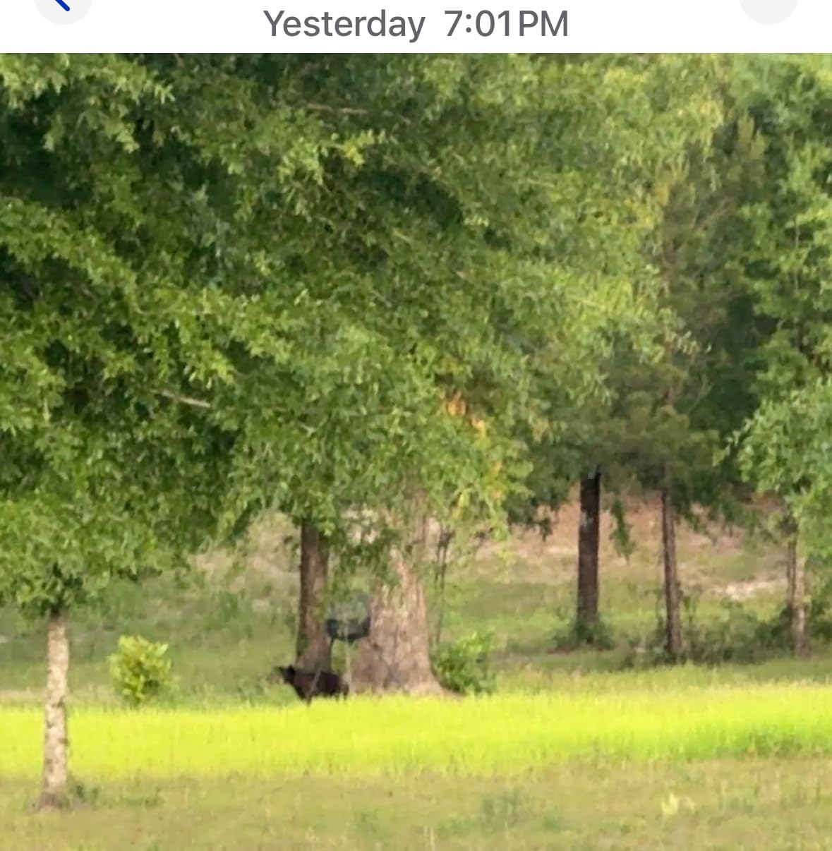 TACTACAM Reveal X Gen 3.0 Cellular Trail Camera - Multi Carrier, HD Photos & Videos, Pre-Installed Antenna, Built-in GPS, Best Battery Life, Low-Glow, Fast Trigger Speed + Cleaning Cloth | 2PK customer photo 1