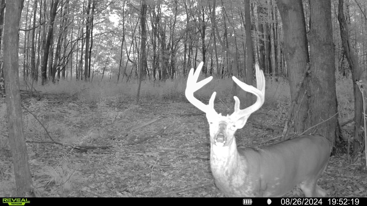 TACTACAM Reveal X Gen 3.0 Cellular Trail Camera - Multi Carrier, HD Photos & Videos, Pre-Installed Antenna, Built-in GPS, Best Battery Life, Low-Glow IR Flash, Fast Trigger Speed + Reveal Solar Panel customer photo 1