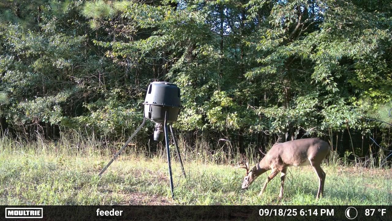 Moultrie Edge 2 Cellular Trail Camera customer photo 2