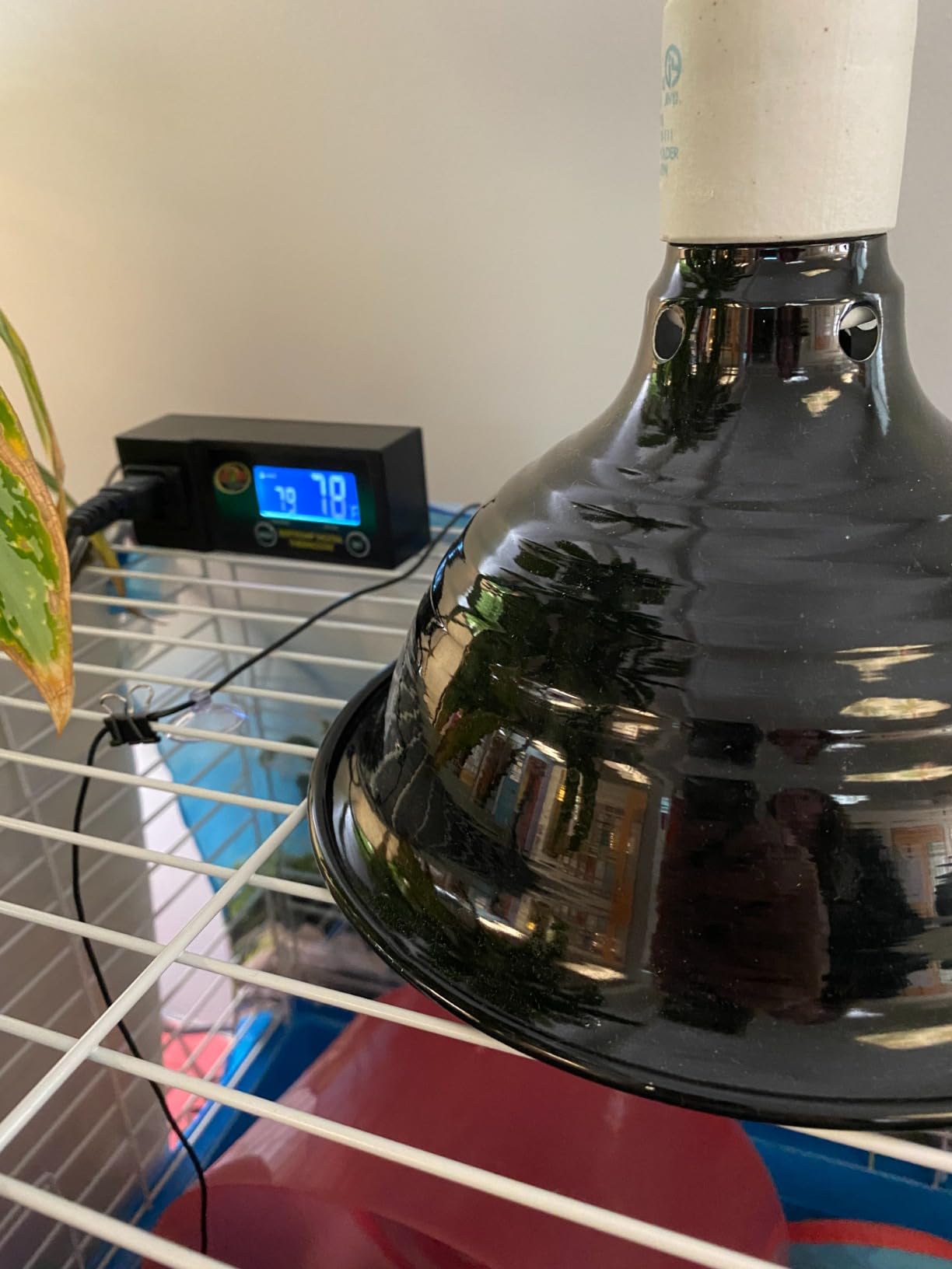 DOMICA 150W 2 Pack Reptile Heat Bulb, Beared Dragon Ceramic Heat Emitter, E26 No Light Night Use Heater Bulbs for Turtle, Lizard, Snake, Amphibians, Pet Brooder Coop Chicken (150W-Large Tank) customer photo 2