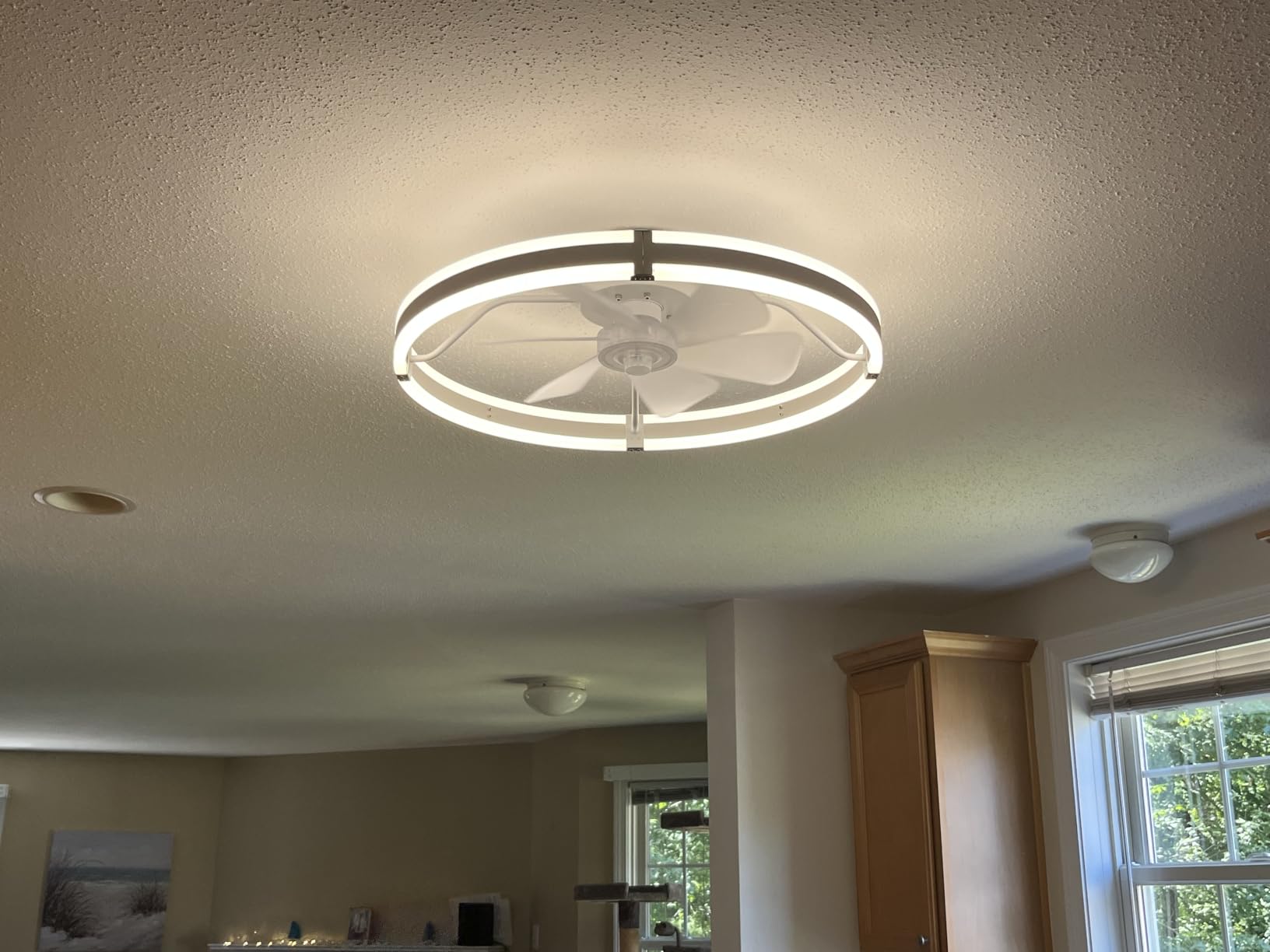 ZMISHIBO Low Profile 19.7'' Ceiling Fans with Lights and Remote, Black customer photo 2