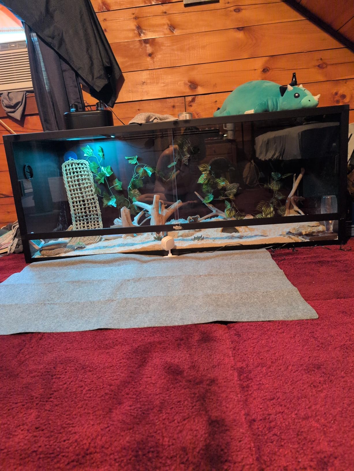 Reptile Habitats 5x2x2 (150 Gallon) Reptile Enclosure V3, Features PVC Panels, Glass Doors, Lightweight, Easy to Assemble, Heavy Duty Screen, Aluminum Frame customer photo 1