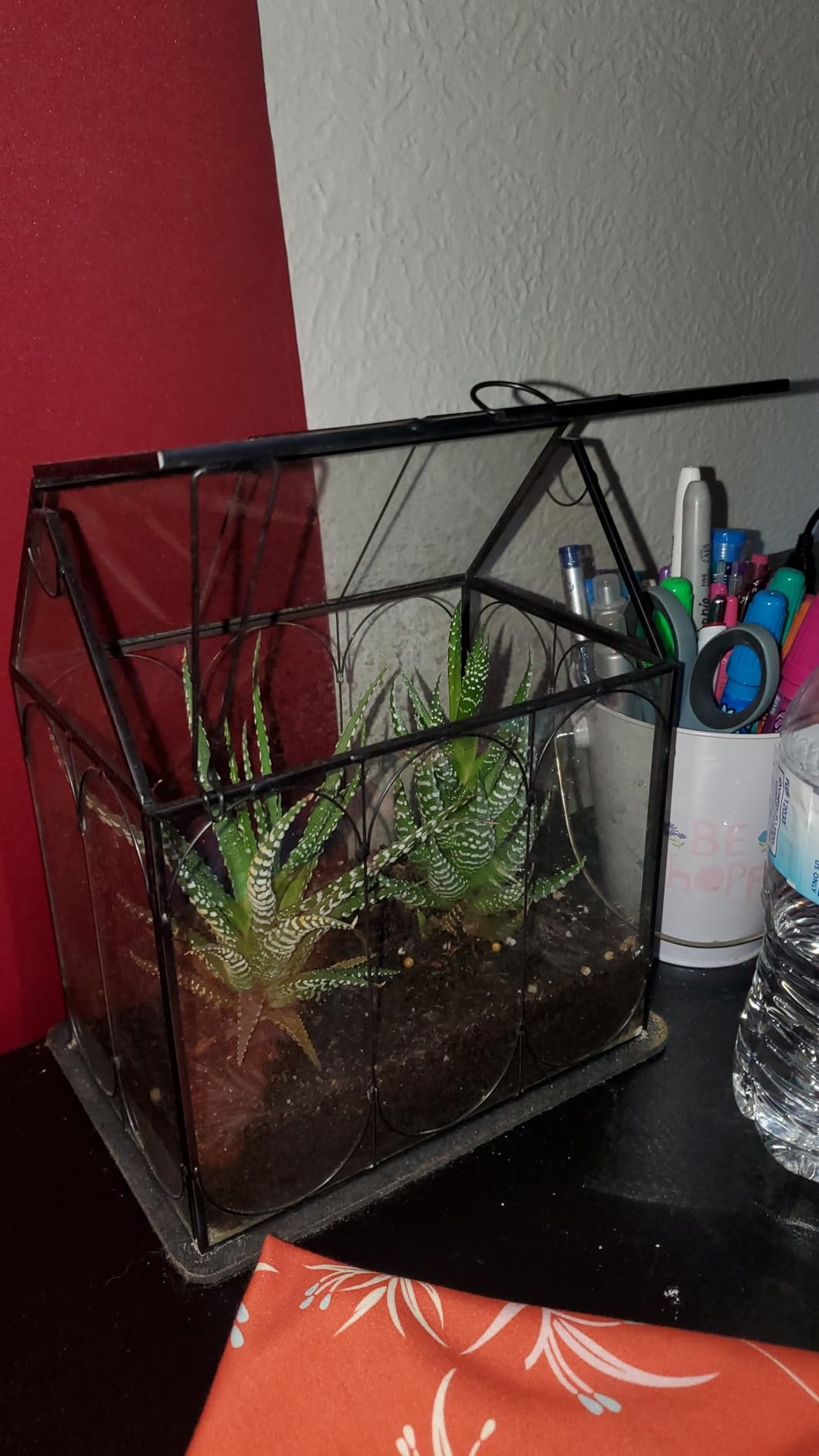 RIFNY Plant Terrarium with Grow Light, Glass Terrarium 7.1 x 4.8 x 8.8 Inch customer photo 1