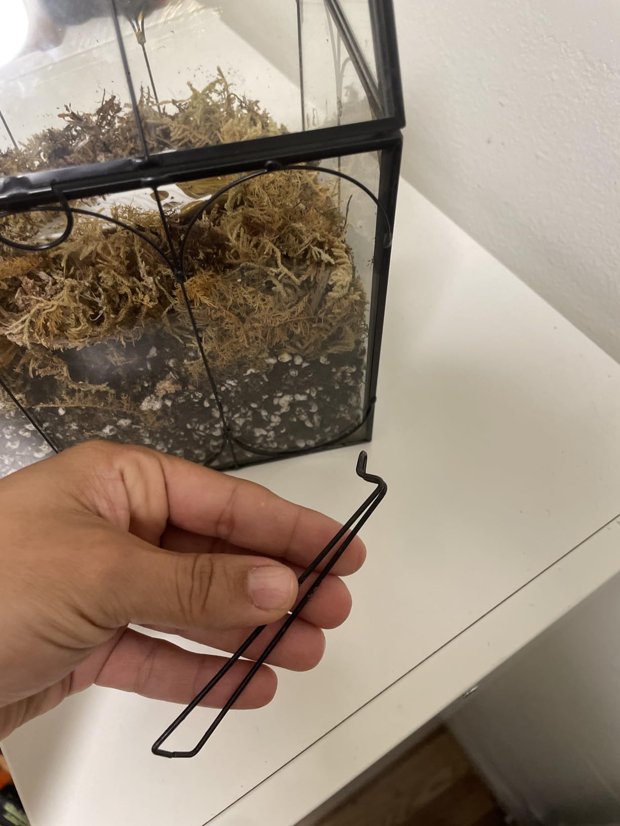 RIFNY Plant Terrarium with Grow Light, Glass Terrarium 7.1 x 4.8 x 8.8 Inch customer photo 2