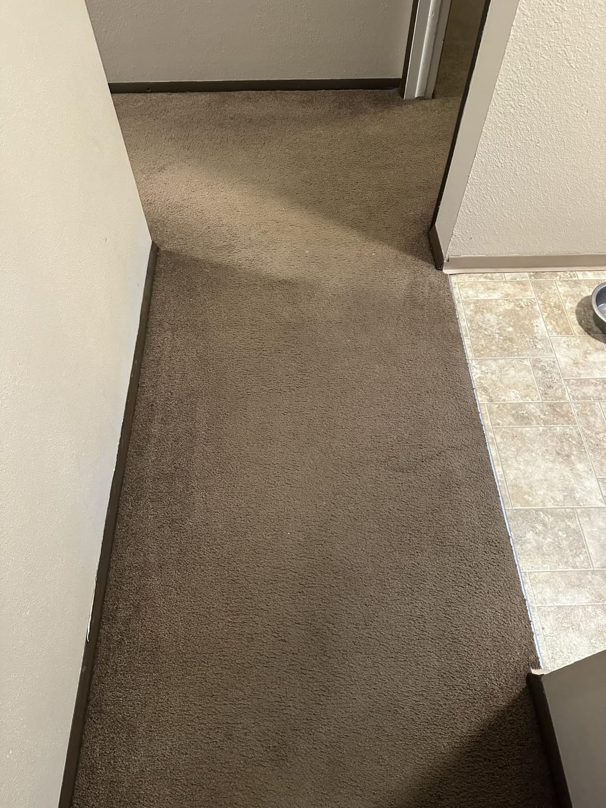 BISSELL TurboClean PET, Upright Carpet & Upholstery Cleaner, 3948 customer photo 2
