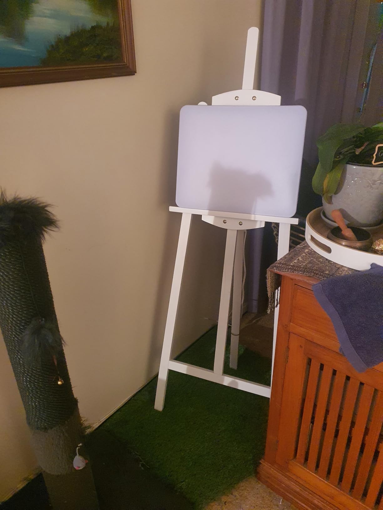 Carex Day-Light Elite Bright Sunlight Therapy Lamp, 10000 LUX Therapy Lamp at 12 Inches, LED with Adjustable Height and Brightness customer photo 1
