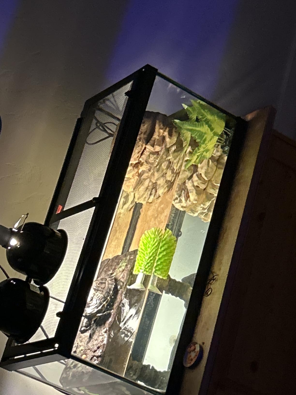 Tetra ReptoHabitat 15 Gallon Complete Kit for Reptiles, Turtles, Amphibians customer photo 1