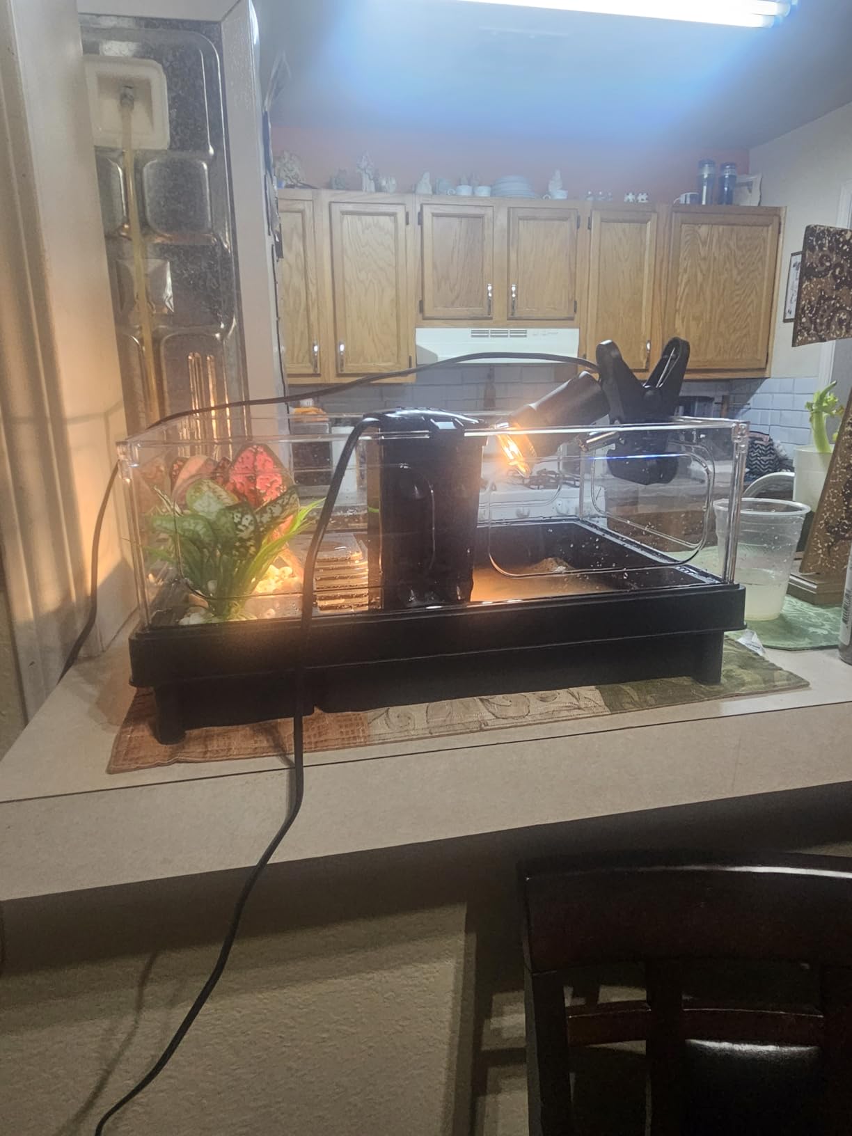 GOZILLA Small Turtle Tank Kit(Tank+Lamp+Filter), Acrylic Turtle Starter Kit with Adjustable Lamp, Reptile Habitat and Terrarium with Multi-Functional Areas for Small Reptiles. (Black Kit) customer photo 1