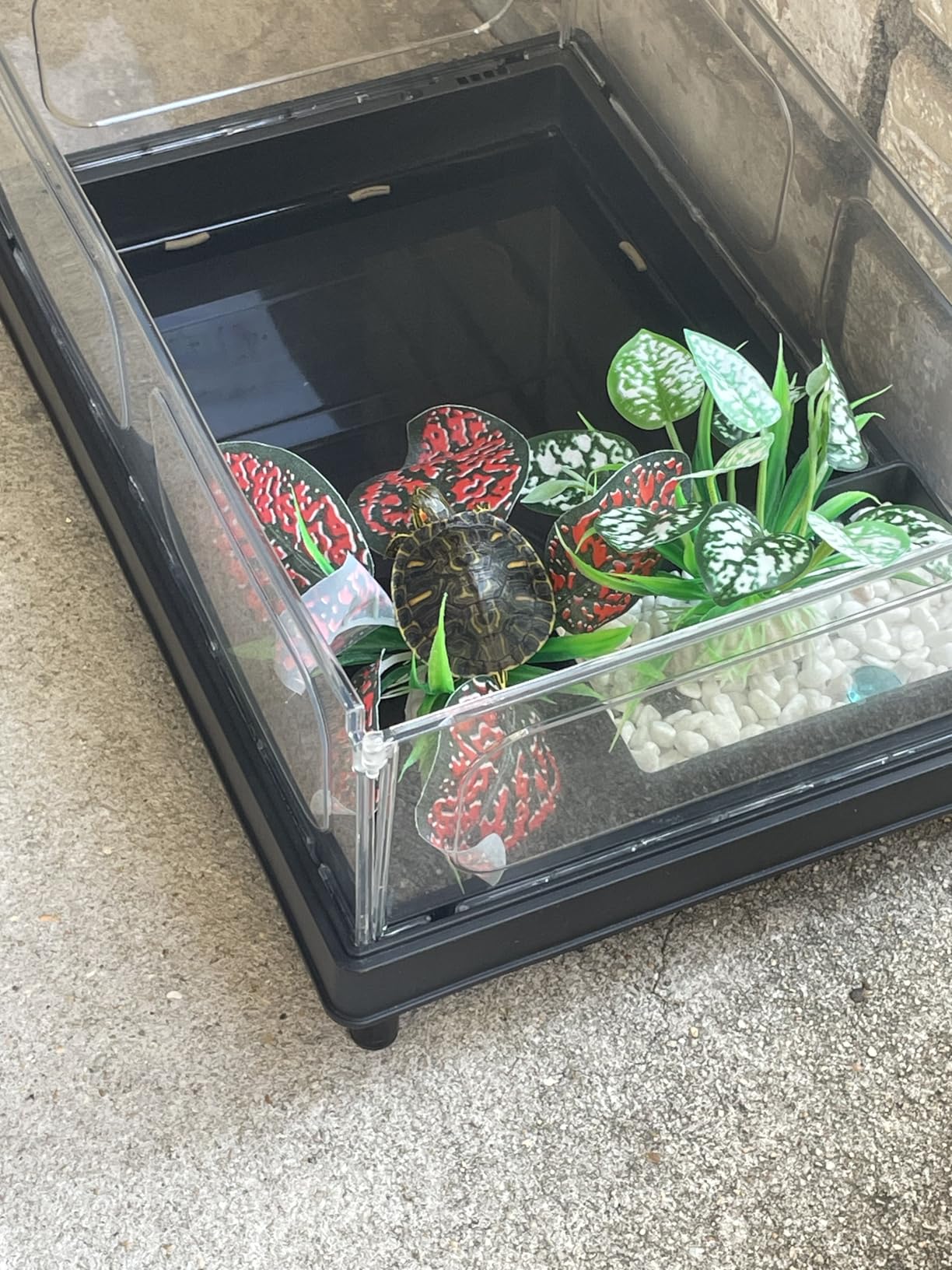 GOZILLA Small Turtle Tank Kit(Tank+Lamp+Filter), Acrylic Turtle Starter Kit with Adjustable Lamp, Reptile Habitat and Terrarium with Multi-Functional Areas for Small Reptiles. (Black Kit) customer photo 2