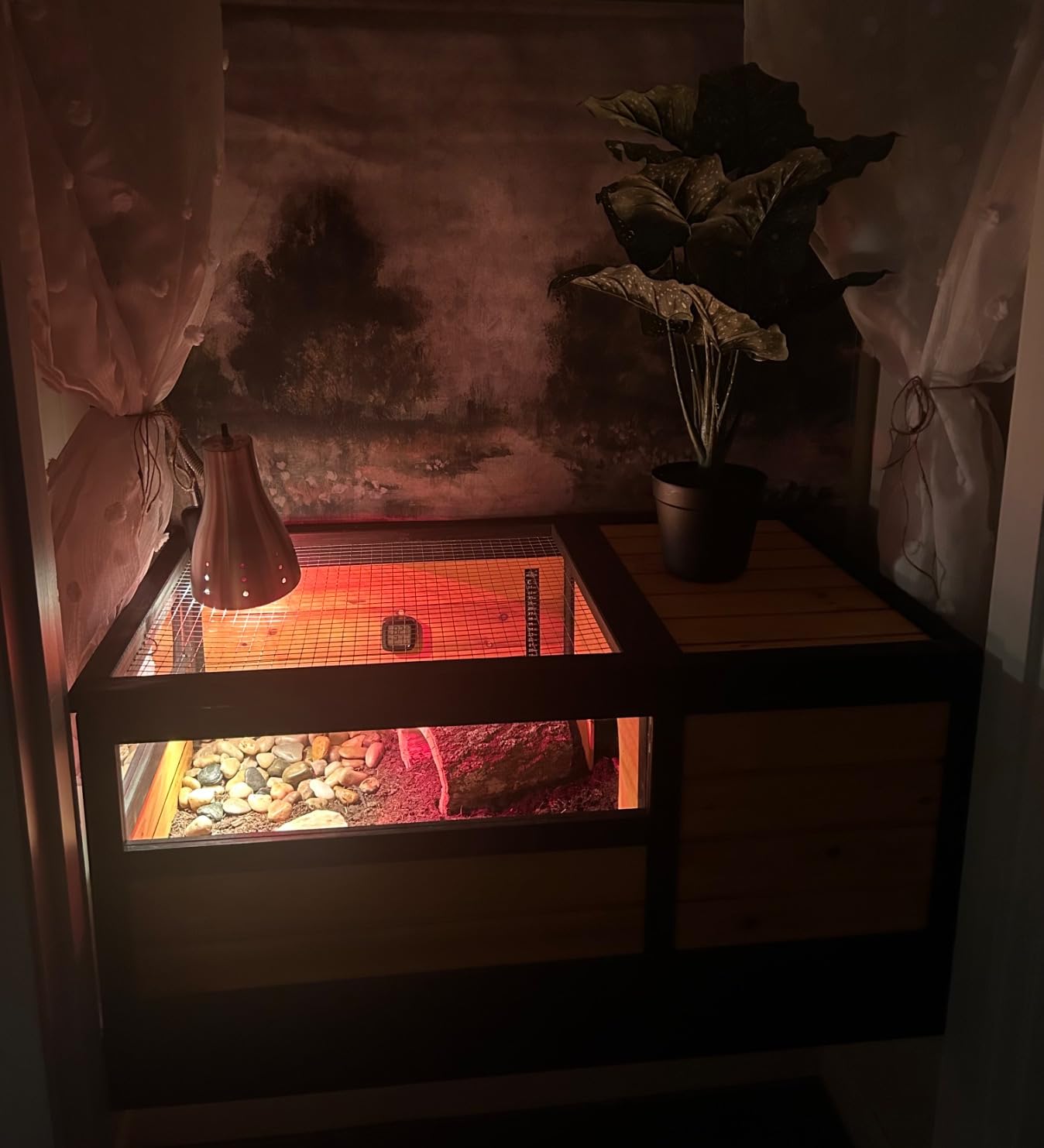 VEVOR Tortoise Habitat, Cedar Wooden Tortoise House Indoor & Outdoor, Tortoise Enclosure with Light Stand, Reptile Enclosure Small Animal Cage with Stand Legs for Gecko, Lizard, Snake customer photo 1