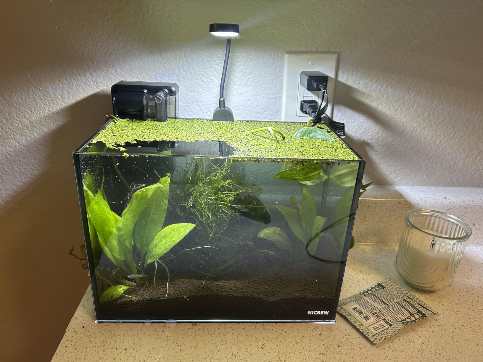 NICREW 2.5 Gallon Nano Nature Aquarium Kit Betta Fish Tank, Complete, Black customer photo 2