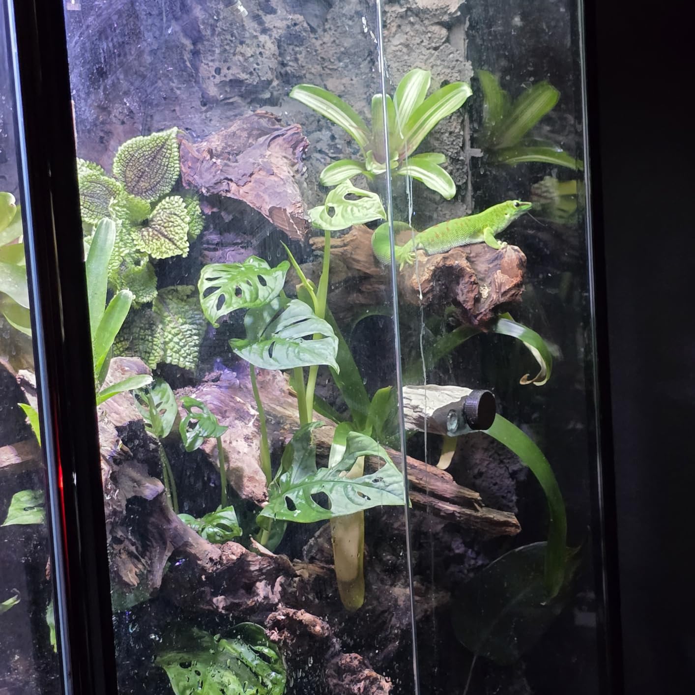 Herture 120 Gallon Reptile Tank Stand, 4x2x2 Reptile Enclosure Stand, with Storage Cabinet and Power Outlet, for Bearded Dragons, Snakes, Lizard Terrarium Black PG08XYB customer photo 1