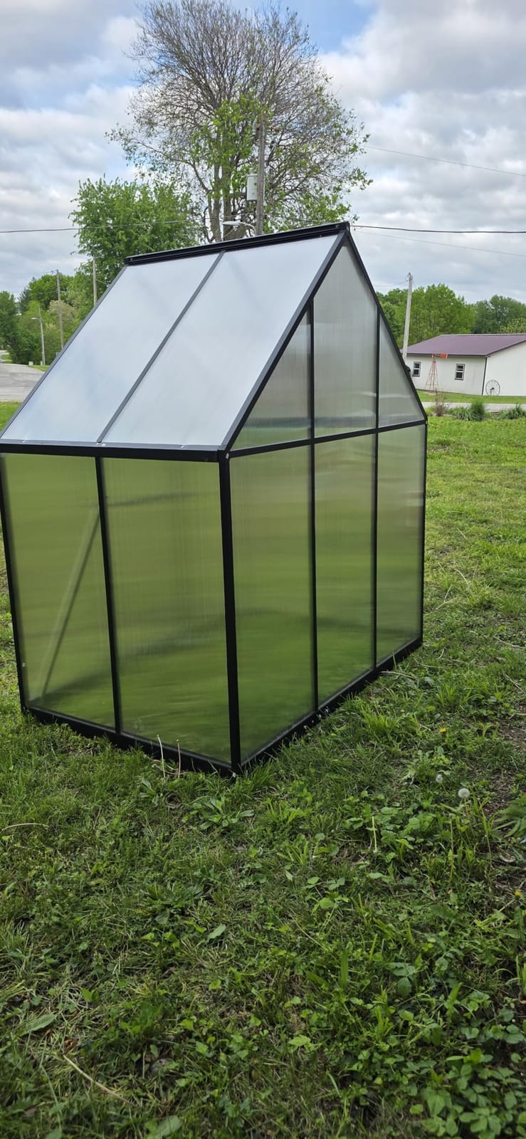 8X10FT Greenhouse with Thermometers, Large Aluminum Greenhouse for Outdoors customer photo 1