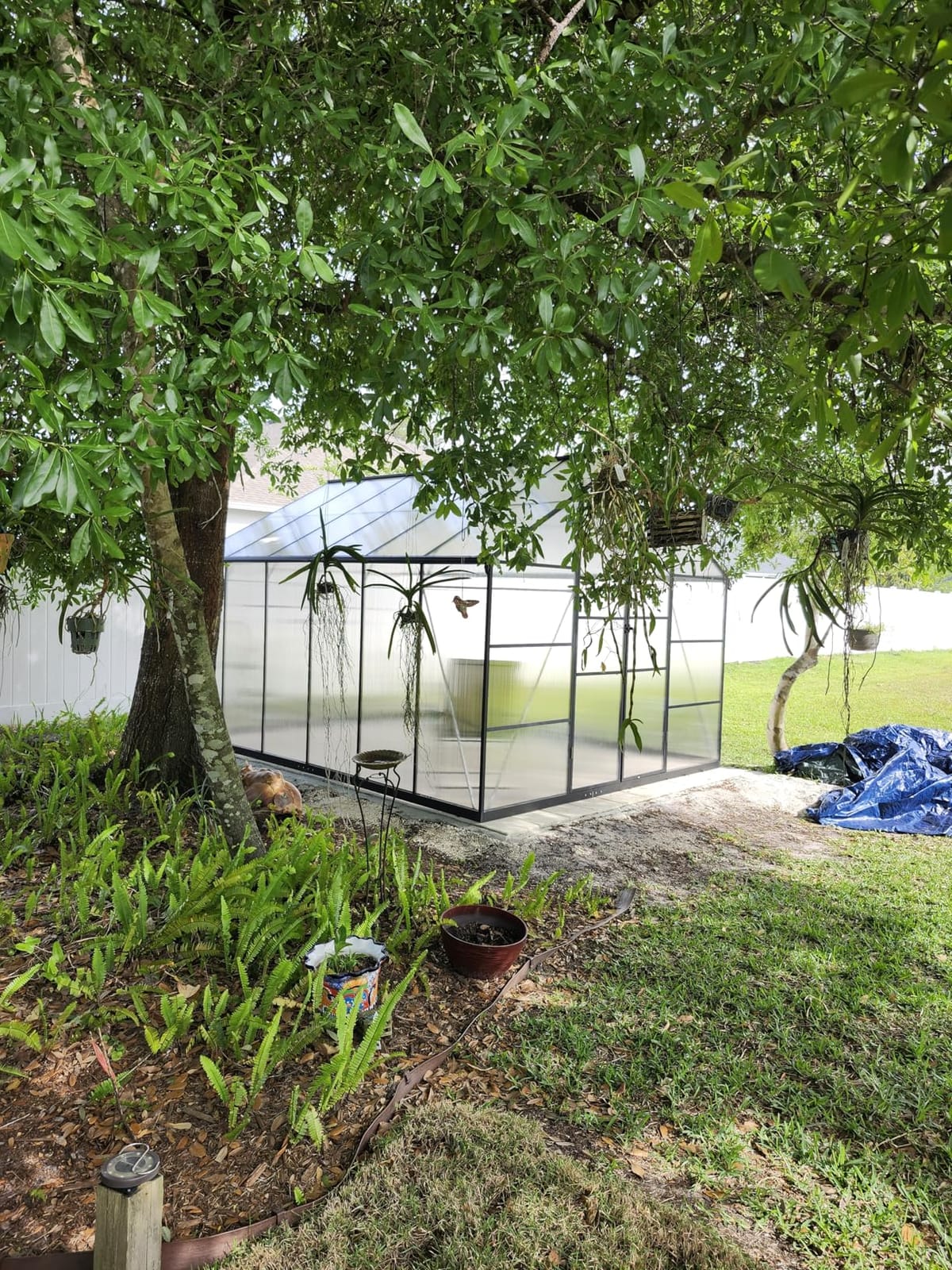 8X10FT Greenhouse with Thermometers, Large Aluminum Greenhouse for Outdoors customer photo 2