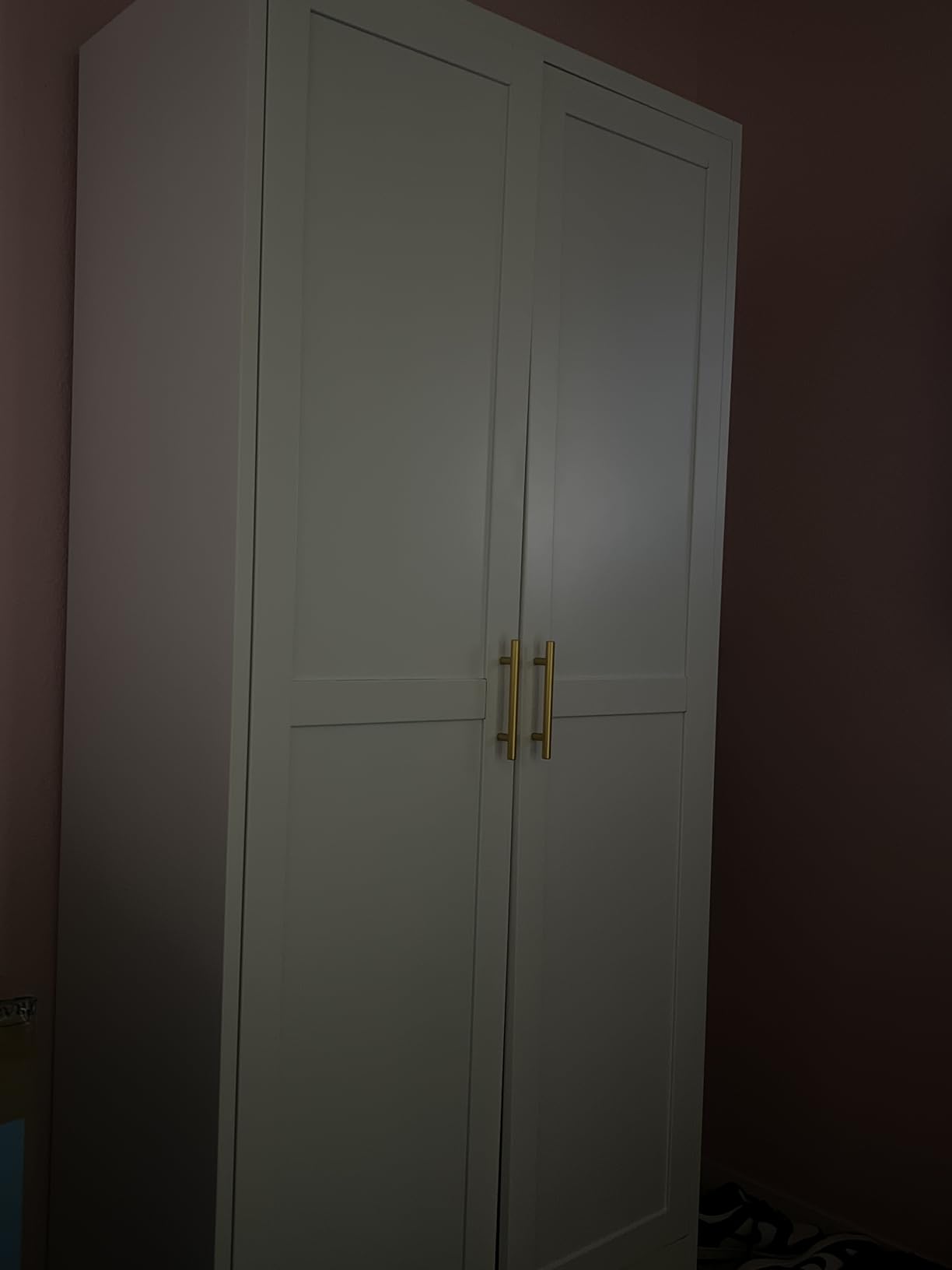 Metal Armoire Wardrobe Closet Storage Cabinet with Hanging Rod customer photo 1