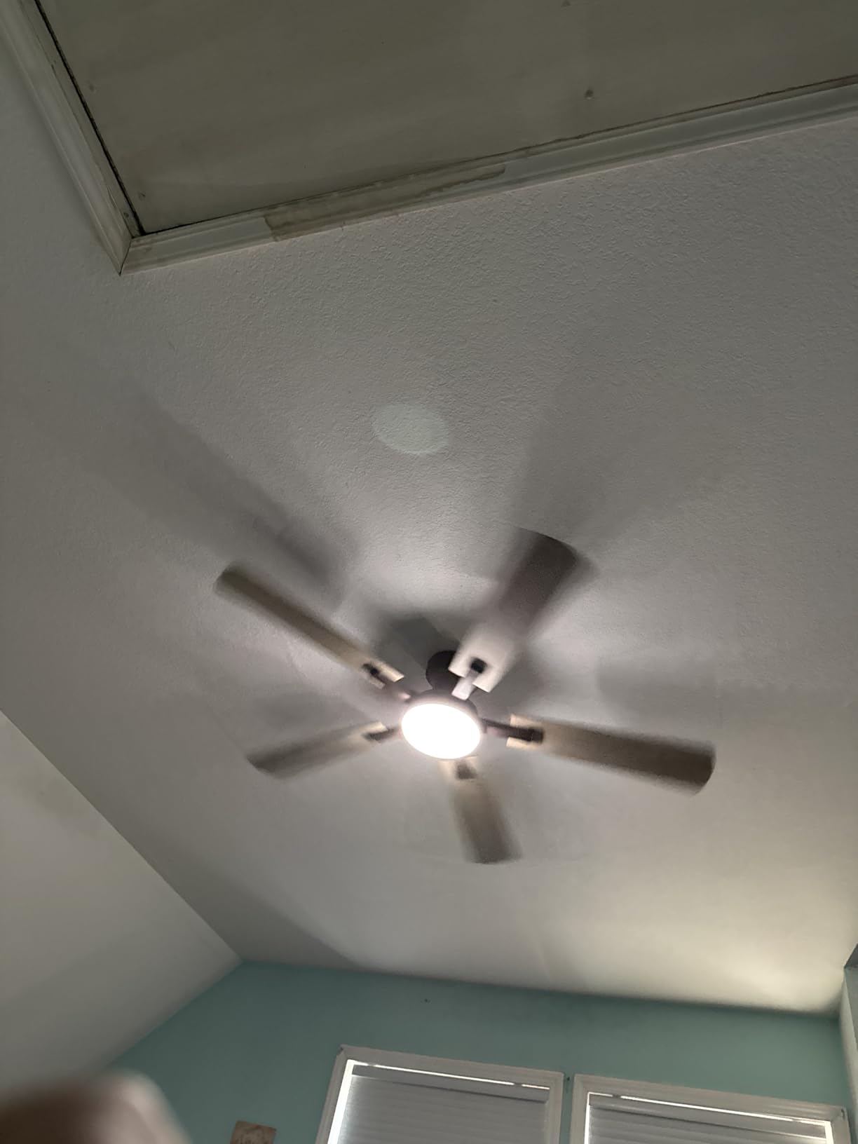 ZMISHIBO 52 Inch Ceiling Fans with Lights, Remote&App Control, Flush Mount customer photo 2
