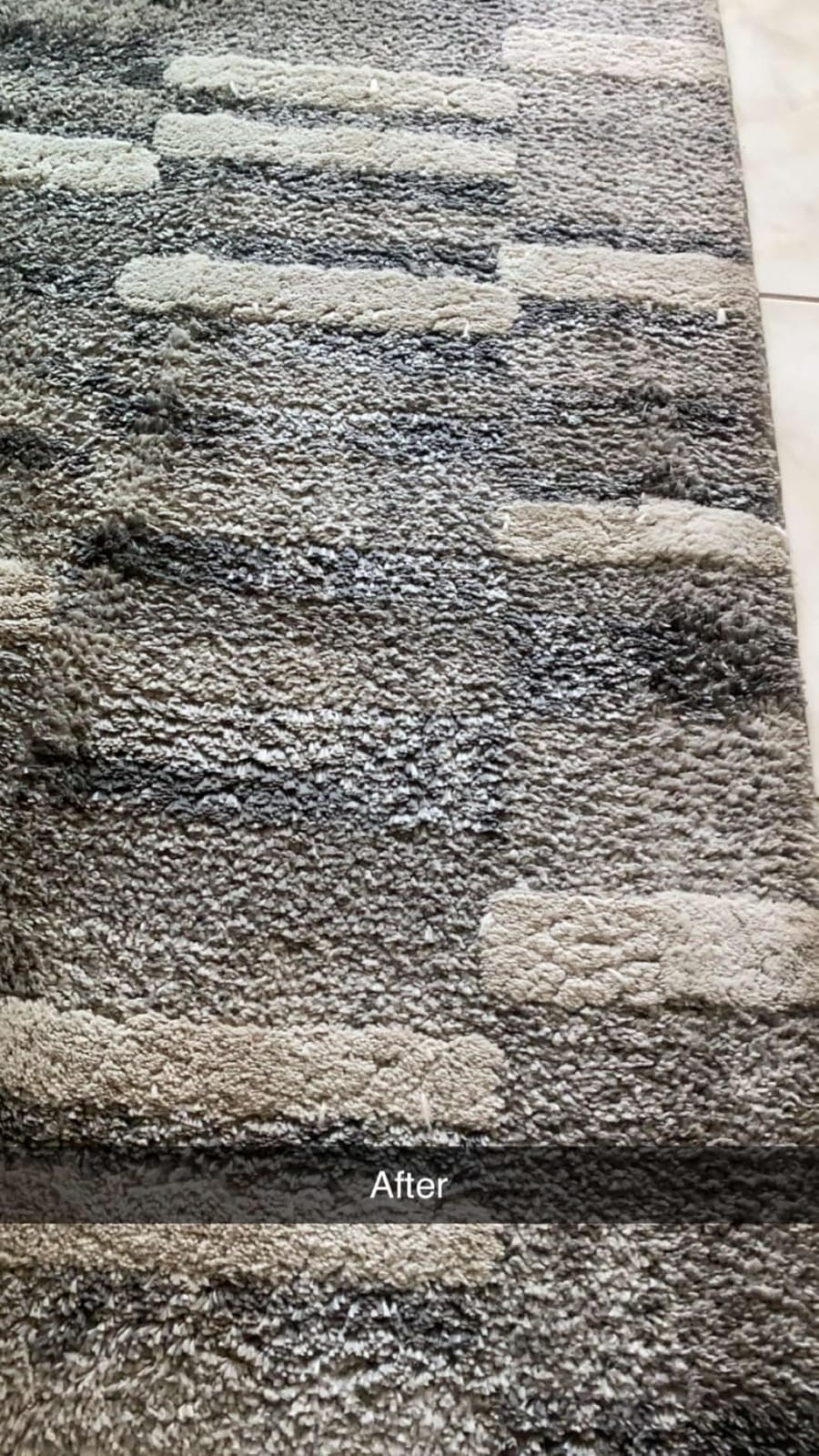 Shark CarpetXpert HairPro Carpet & Built-in Stain Cleaner, 2 Tools EX251BRN customer photo 1