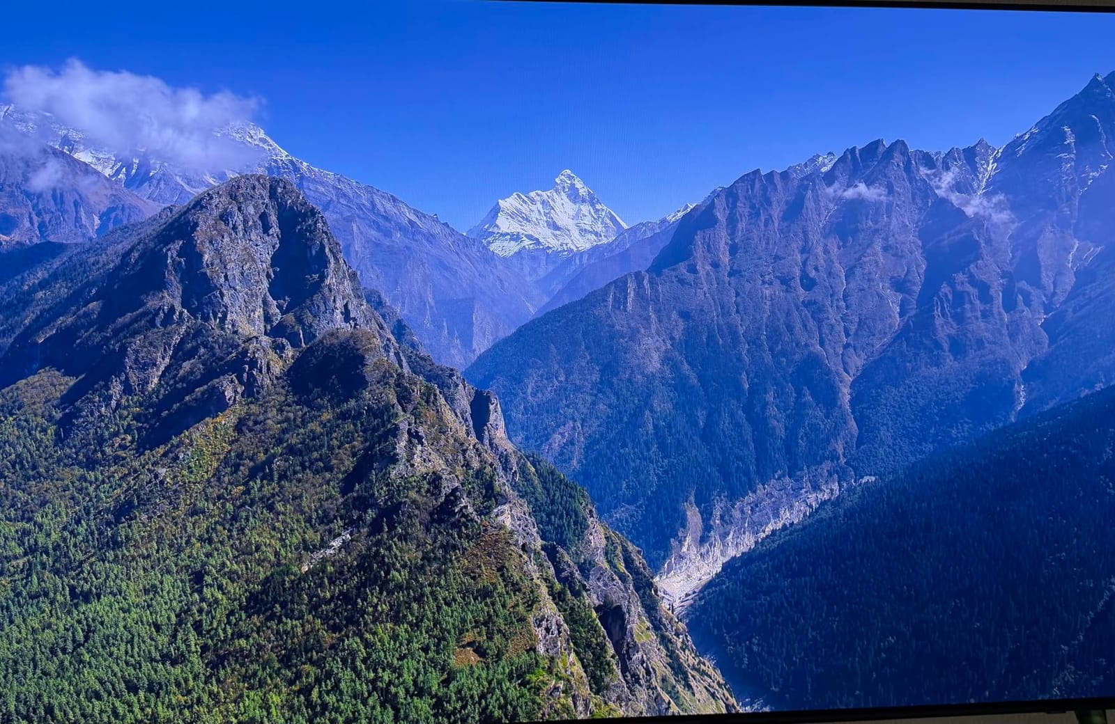 Samsung 65-Inch Class OLED S90F 4K Smart TV (2025 Model) NQ4 AI Gen3 Processor Upscaling Pro HDR+, Motion Xcelerator 144Hz, Vision Alexa Built-in customer photo 2