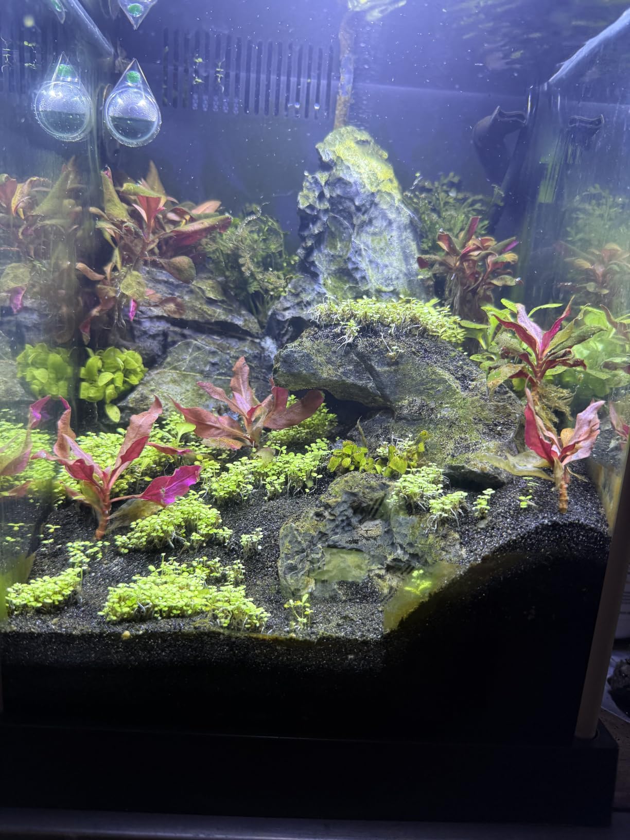 FZONE Desktop Aquarium CO2 System,45g CO2 Cartridge,5/8