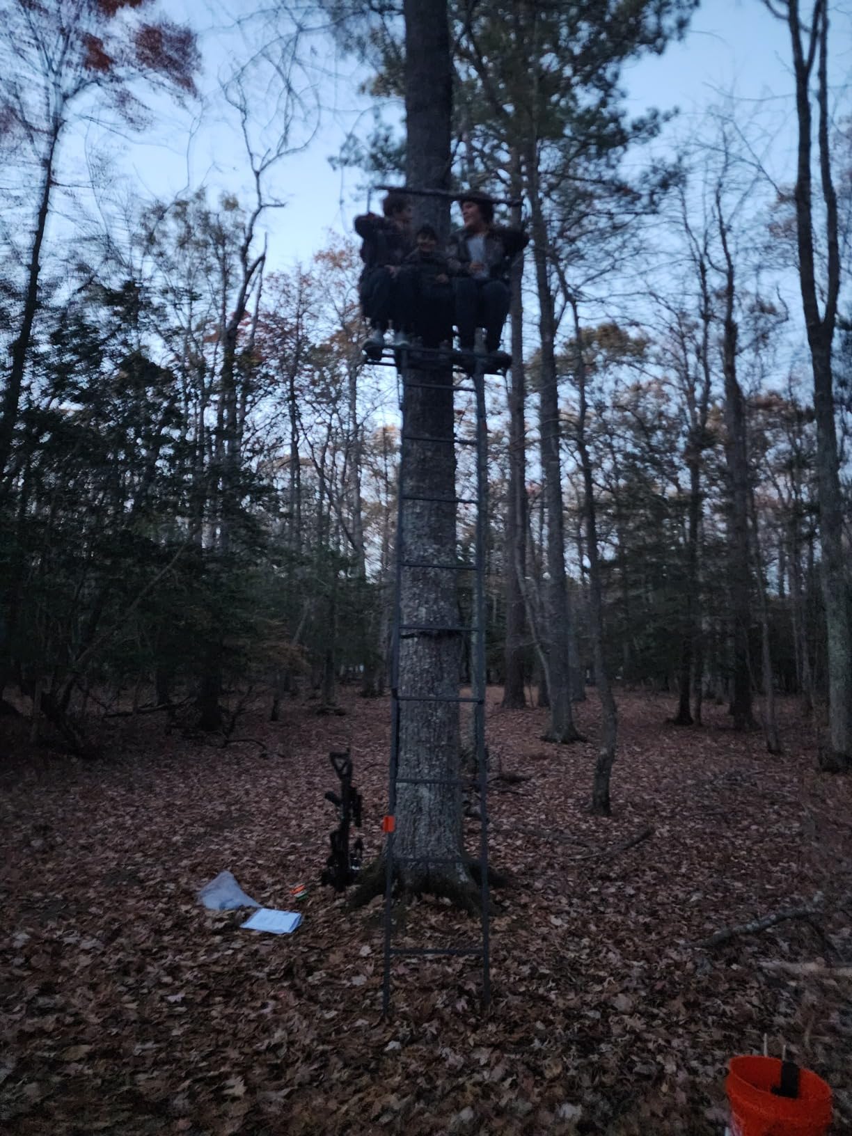 Guide Gear 16.5' 2-Man Ladder Tree Stand for Hunting Elevated Climbing Seat Hunting Gear Equipment Accessories customer photo 2