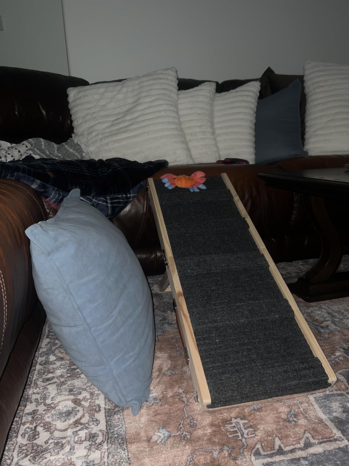 Pawaboo 2026 Upgraded Small Dog Ramp for Couch Foldable, 5 Ajustable Height customer photo 1
