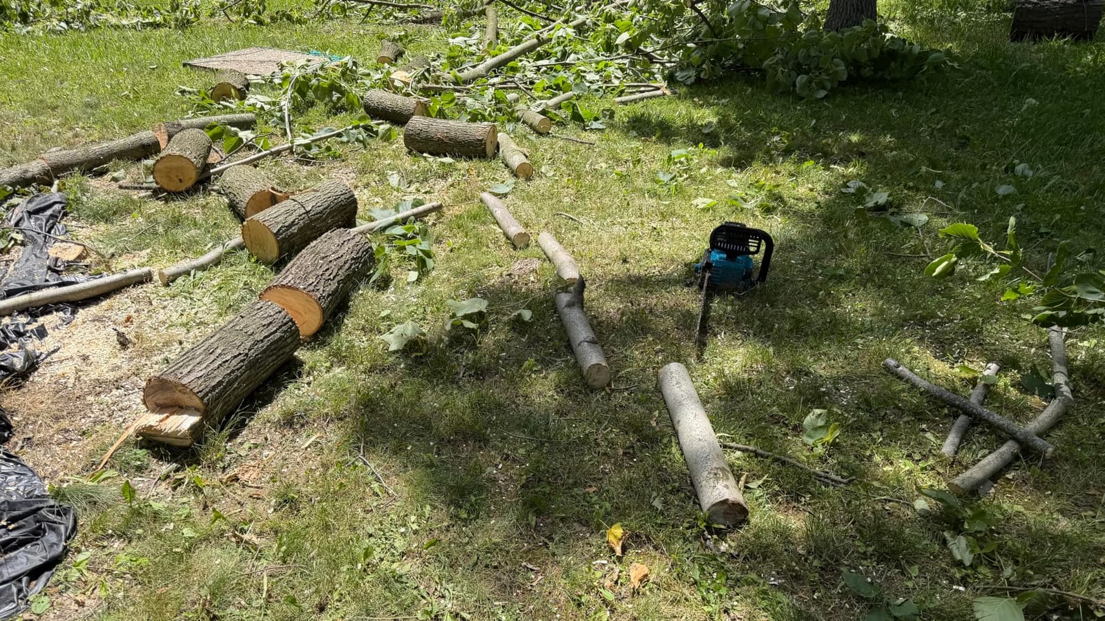 SEESII 40V 16-Inch Cordless Electric Chainsaw,2000W Brushless Chain Saw customer photo 2