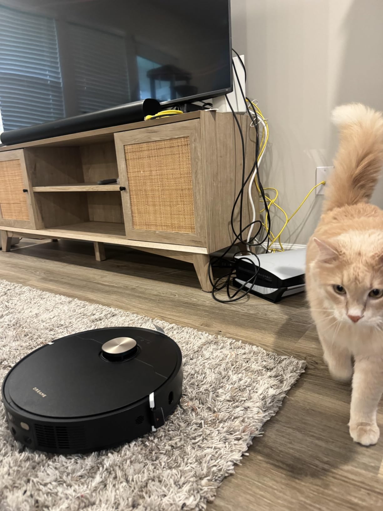 dreame L50 Ultra Robot Vacuum with Dual Laser & AI RGB Navigation customer photo 1